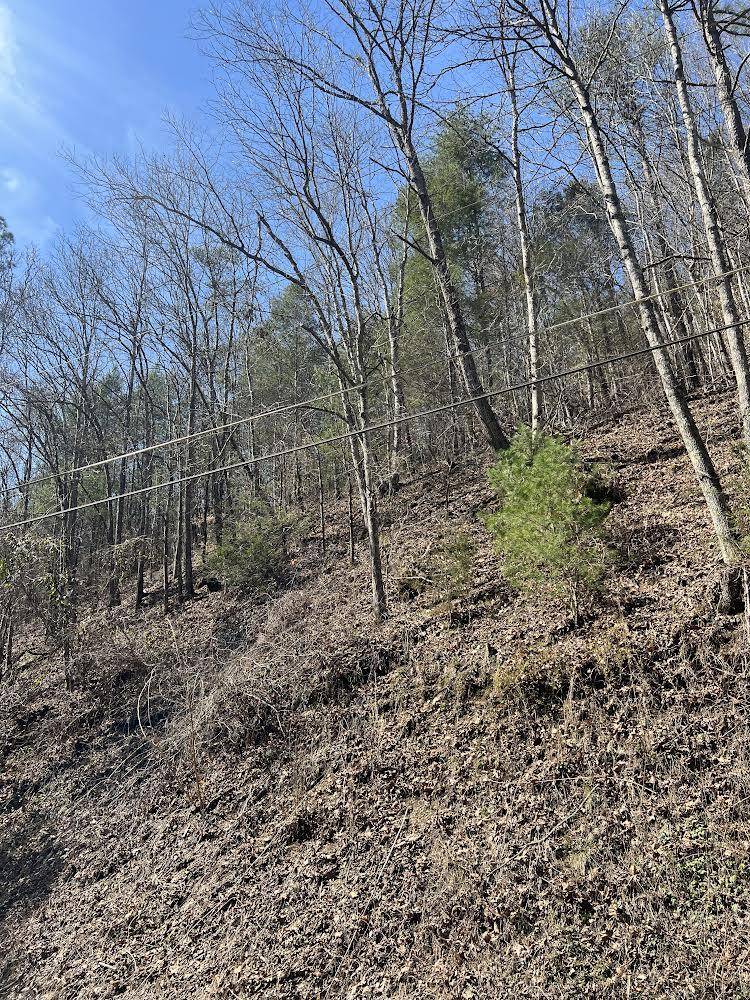 Sevierville, TN 37862,Lot 56/57 Hidden Hollow Way