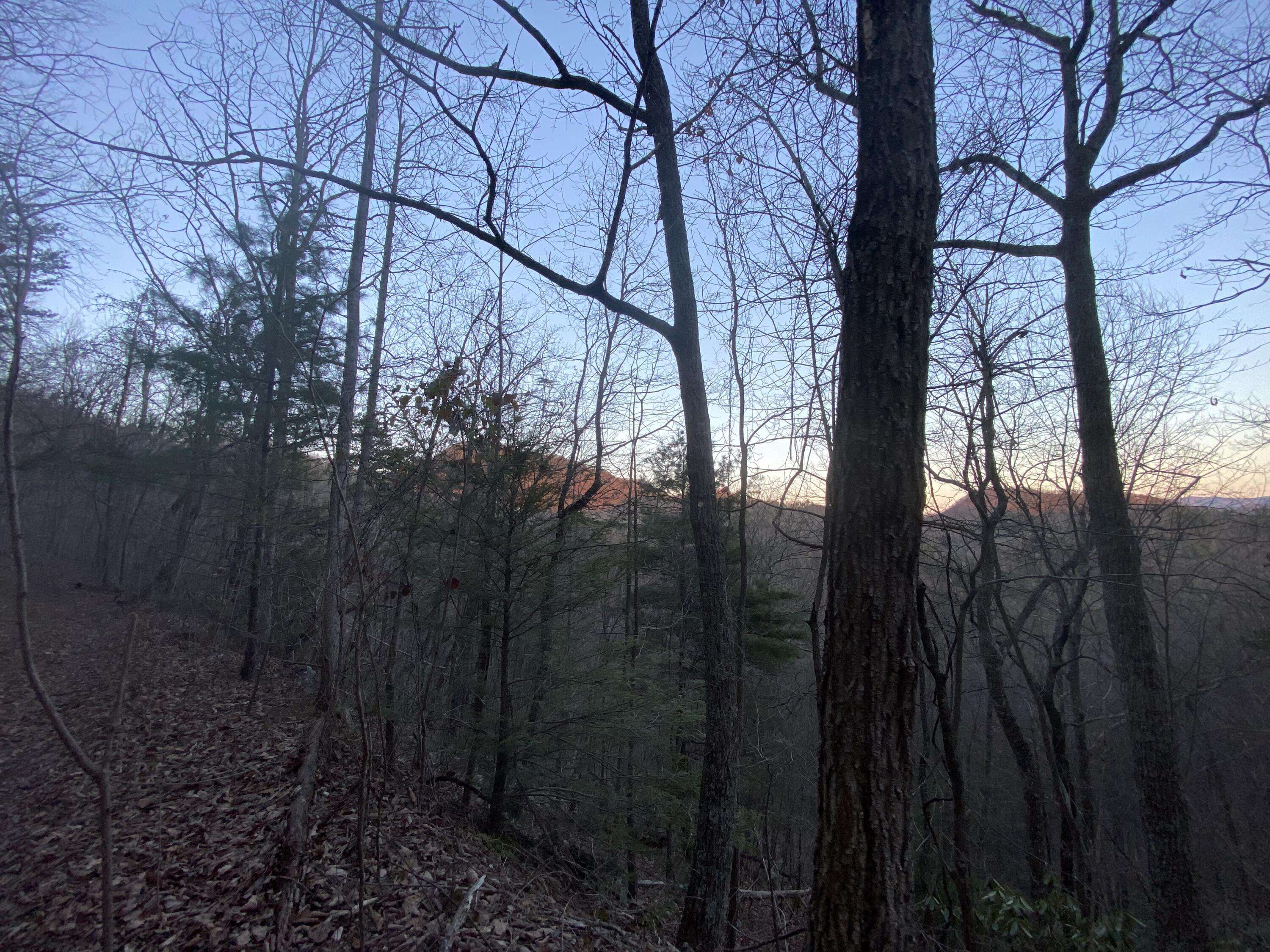 Sevierville, TN 37876,Lot 36 Elderberry DR