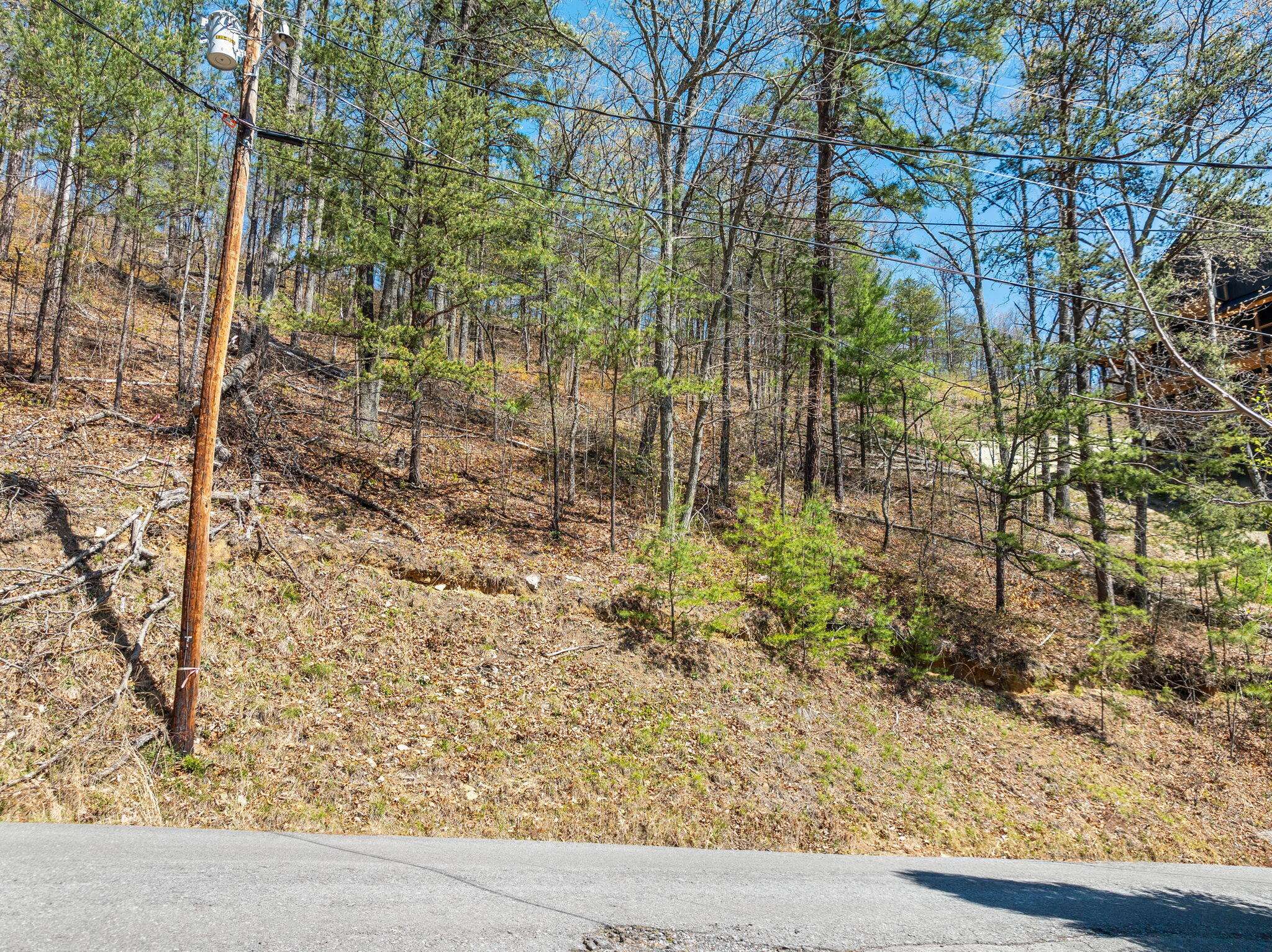 Sevierville, TN 37862,Lot 6A Overholt TRL