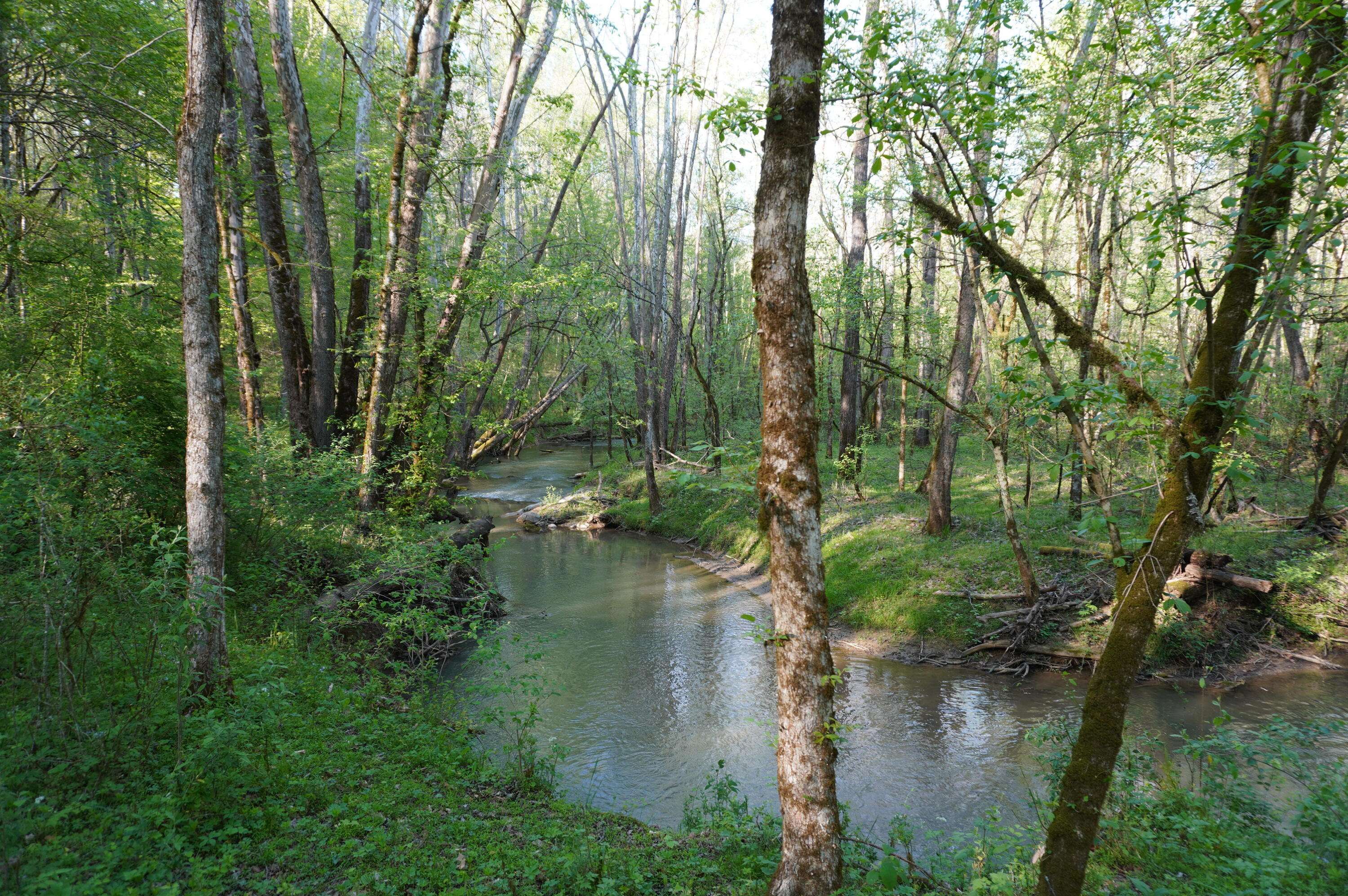 Newport, TN 37821,Lot 1A Golf Course RD