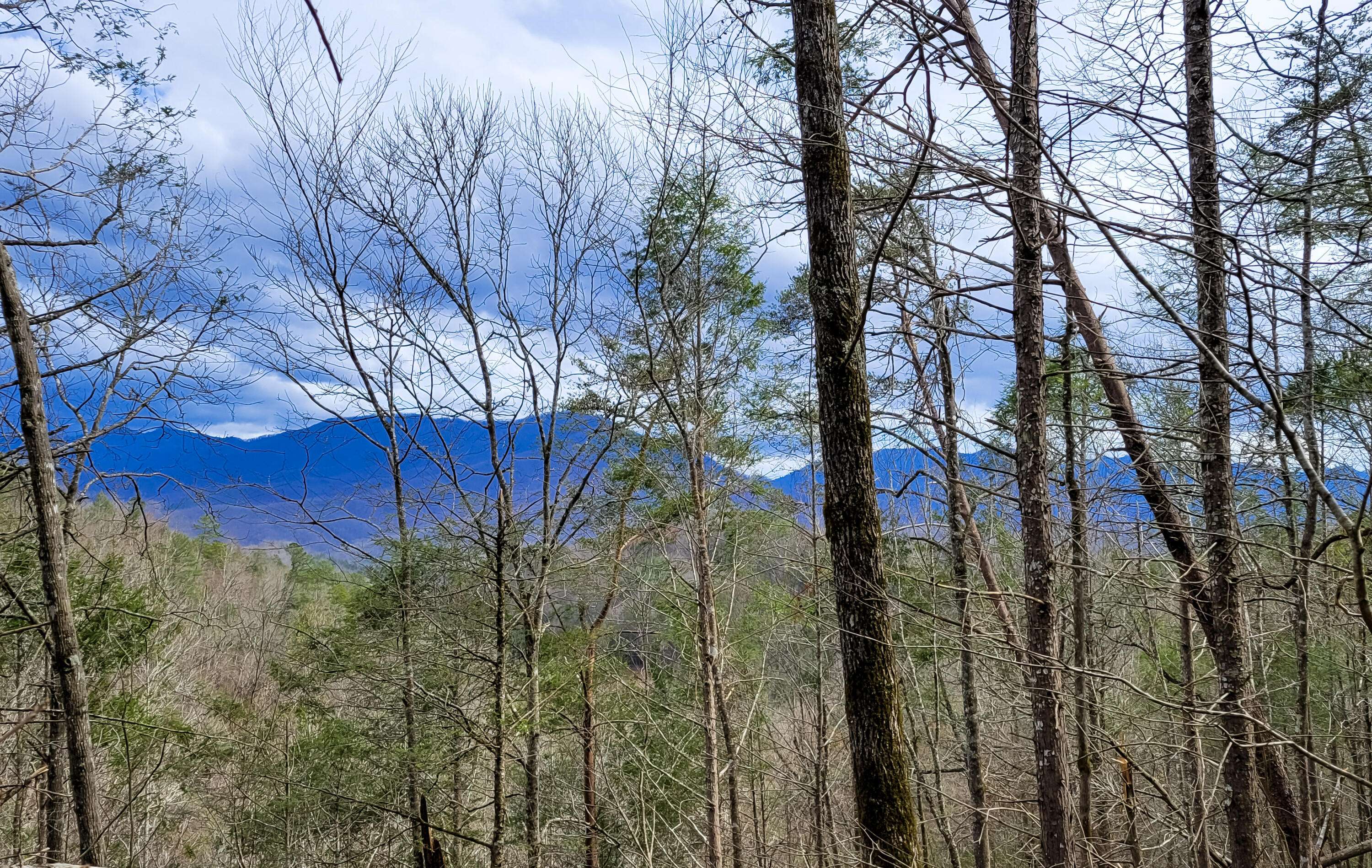 Sevierville, TN 37876,lot 39 Riversong Way
