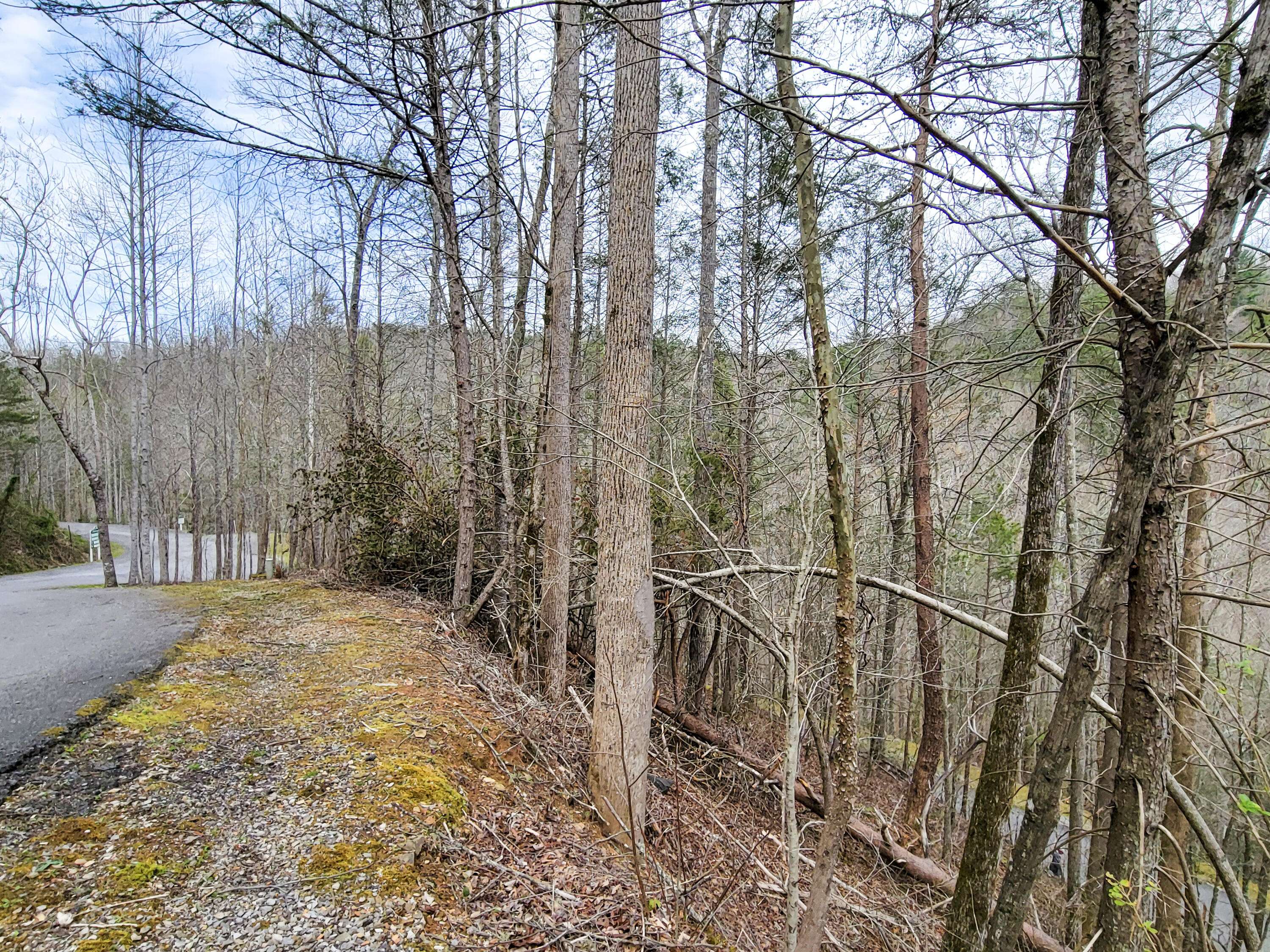 Sevierville, TN 37876,lot 39 Riversong Way