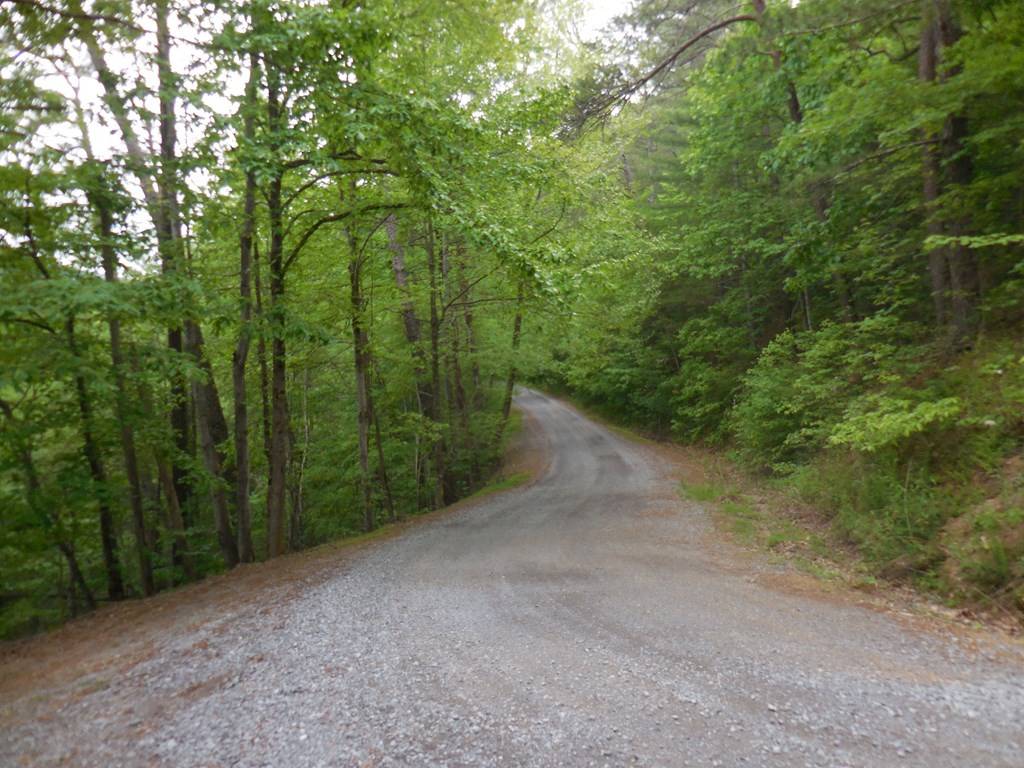 Sevierville, TN 37862,Lot 16 Meadow View RD