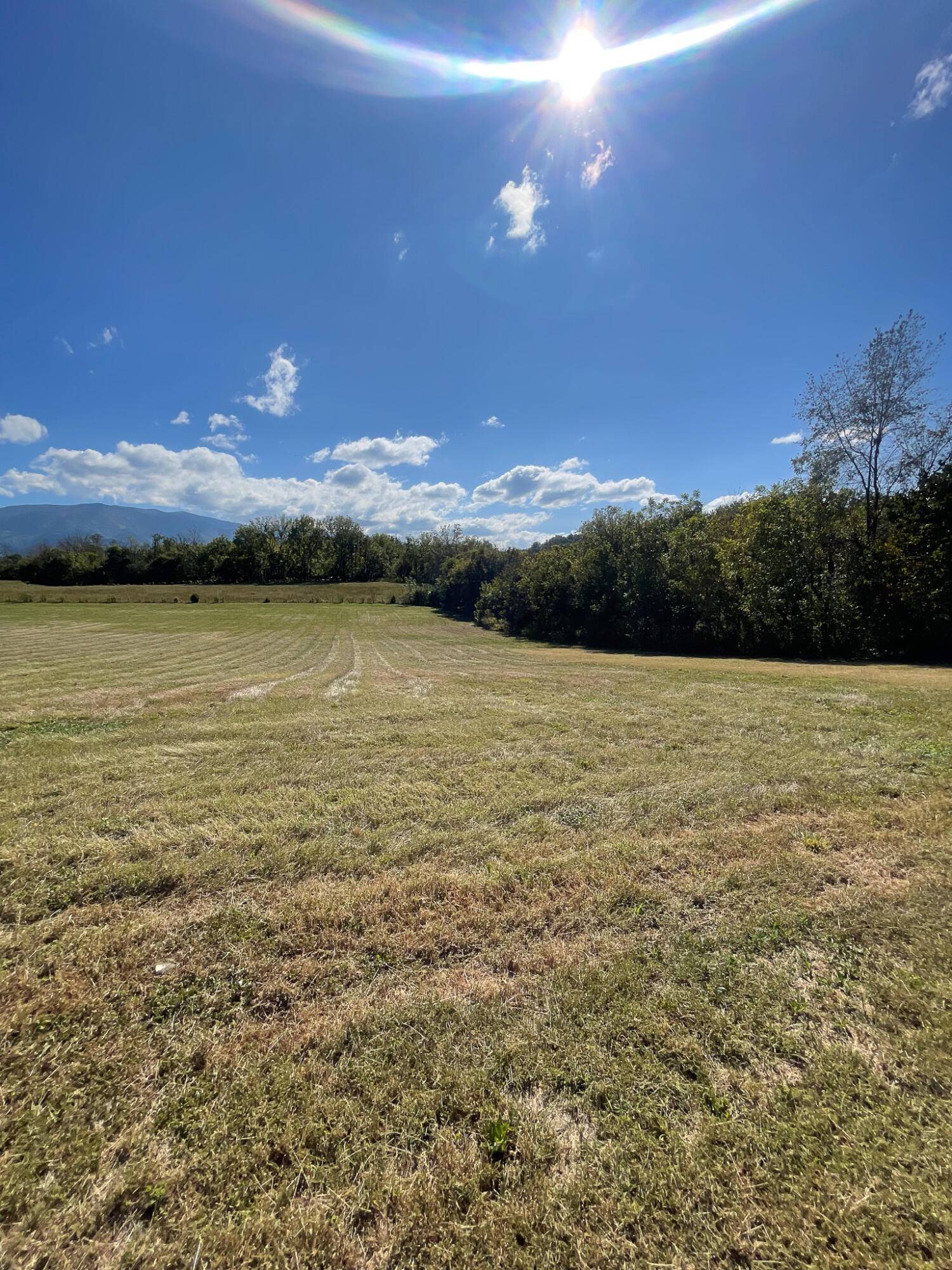 Cosby, TN 37722,Lot 9 Cocke County Line Rd