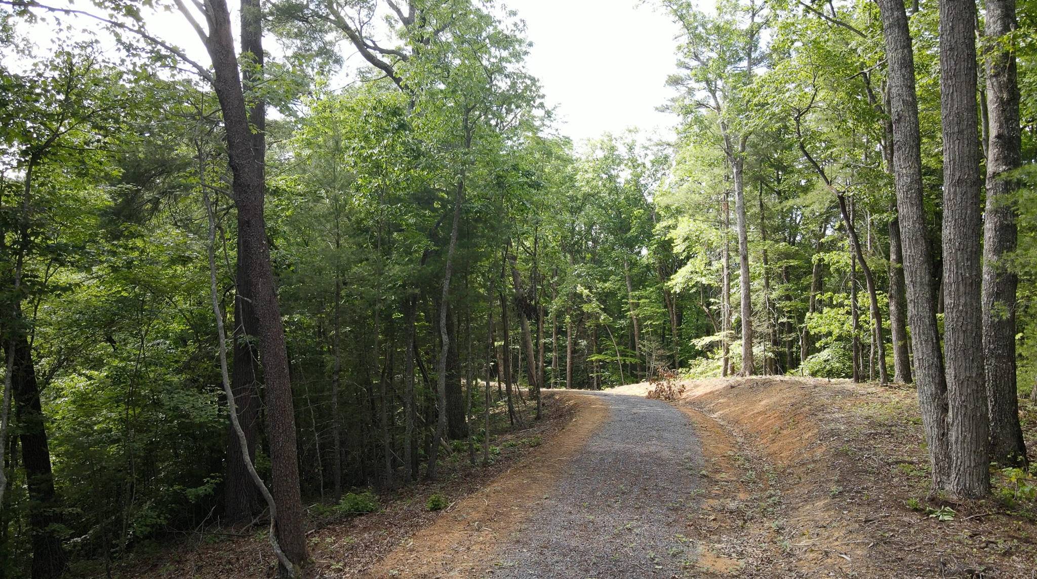 Cosby, TN 37722,Lot 15,16R Little Bear Trail