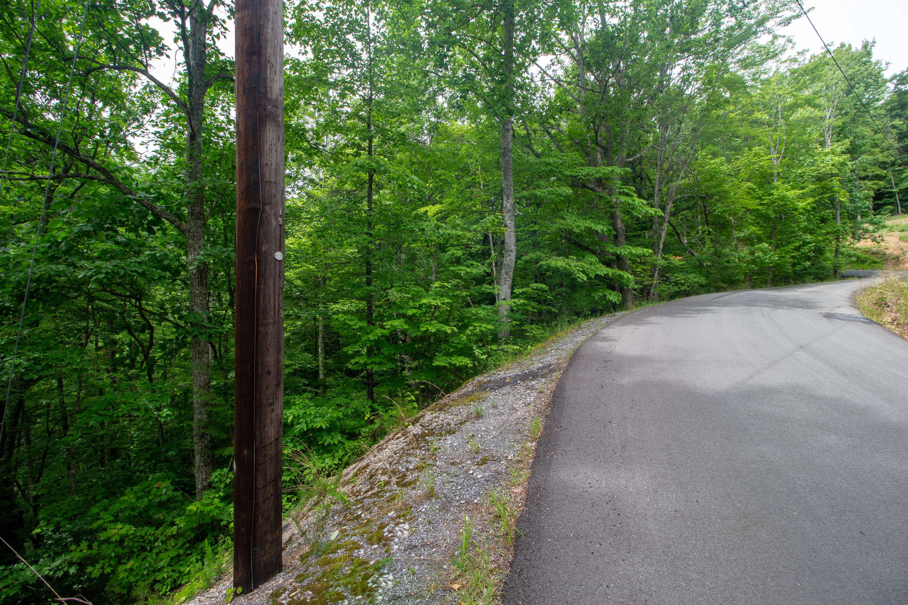 Sevierville, TN 37862,Lot 15 Overholt Trail