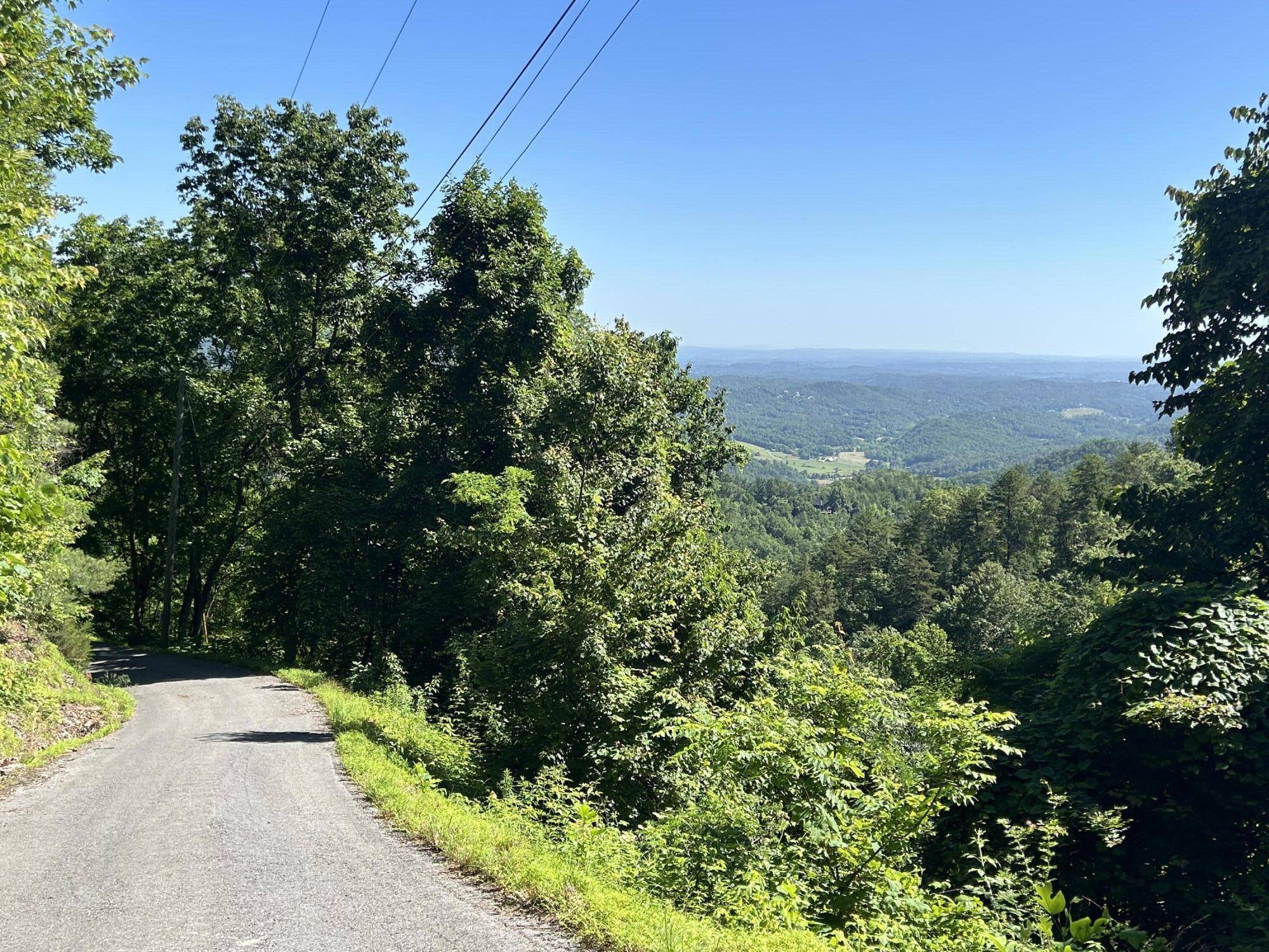 Sevierville, TN 37862,Lot 2 Overholt Trail