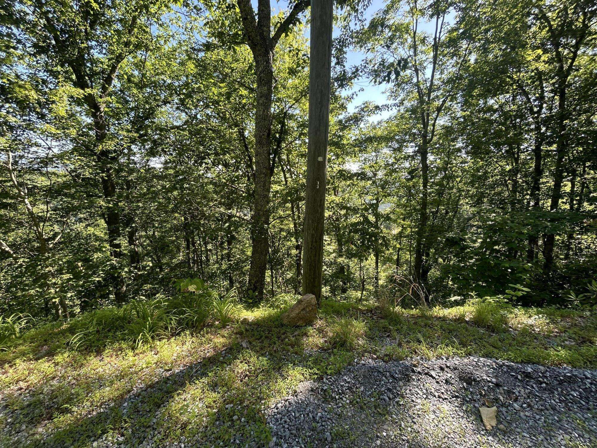 Sevierville, TN 37862,Lot 1R Overholt Trail