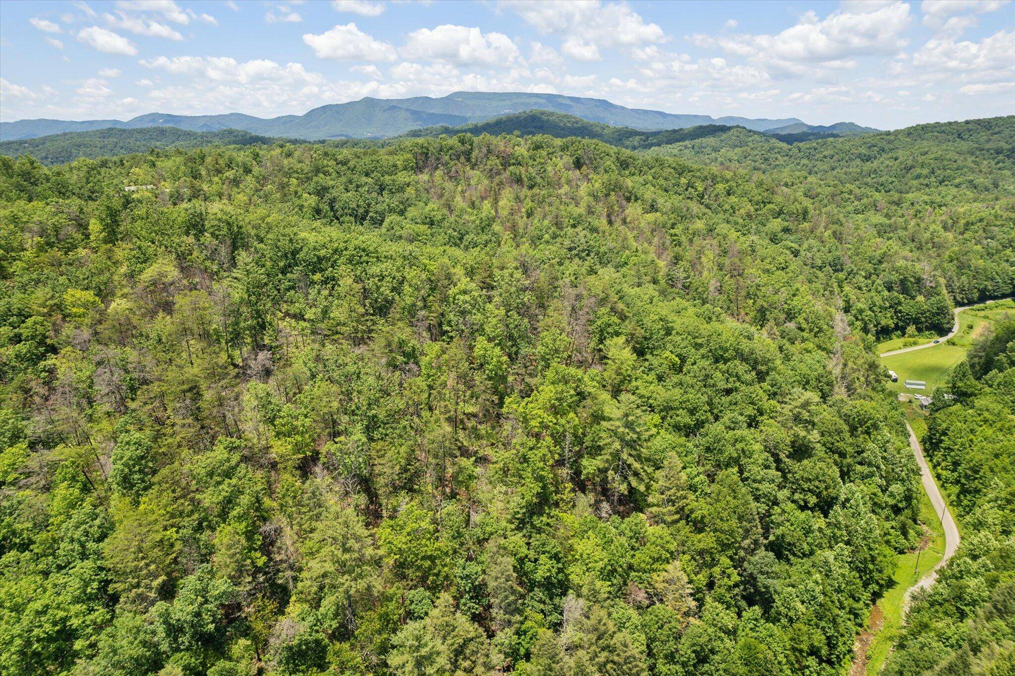 Cosby, TN 37722,0 Ball Hollow Road