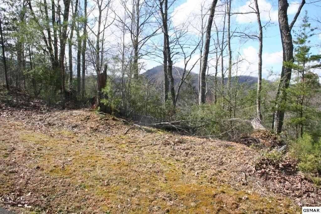 Pigeon Forge, TN 37863,4350 Carolina Cove WAY