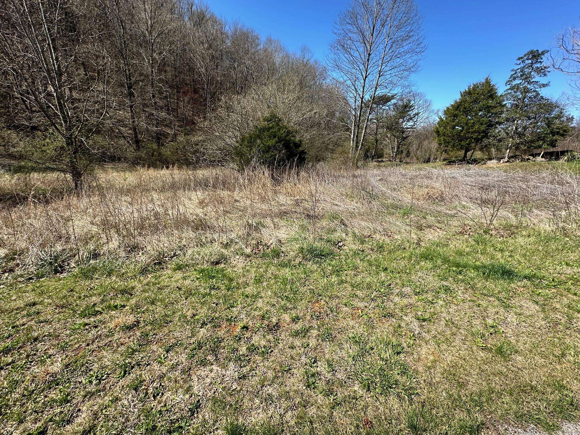 Cosby, TN 37722,lot 20 Perilla Rd RD