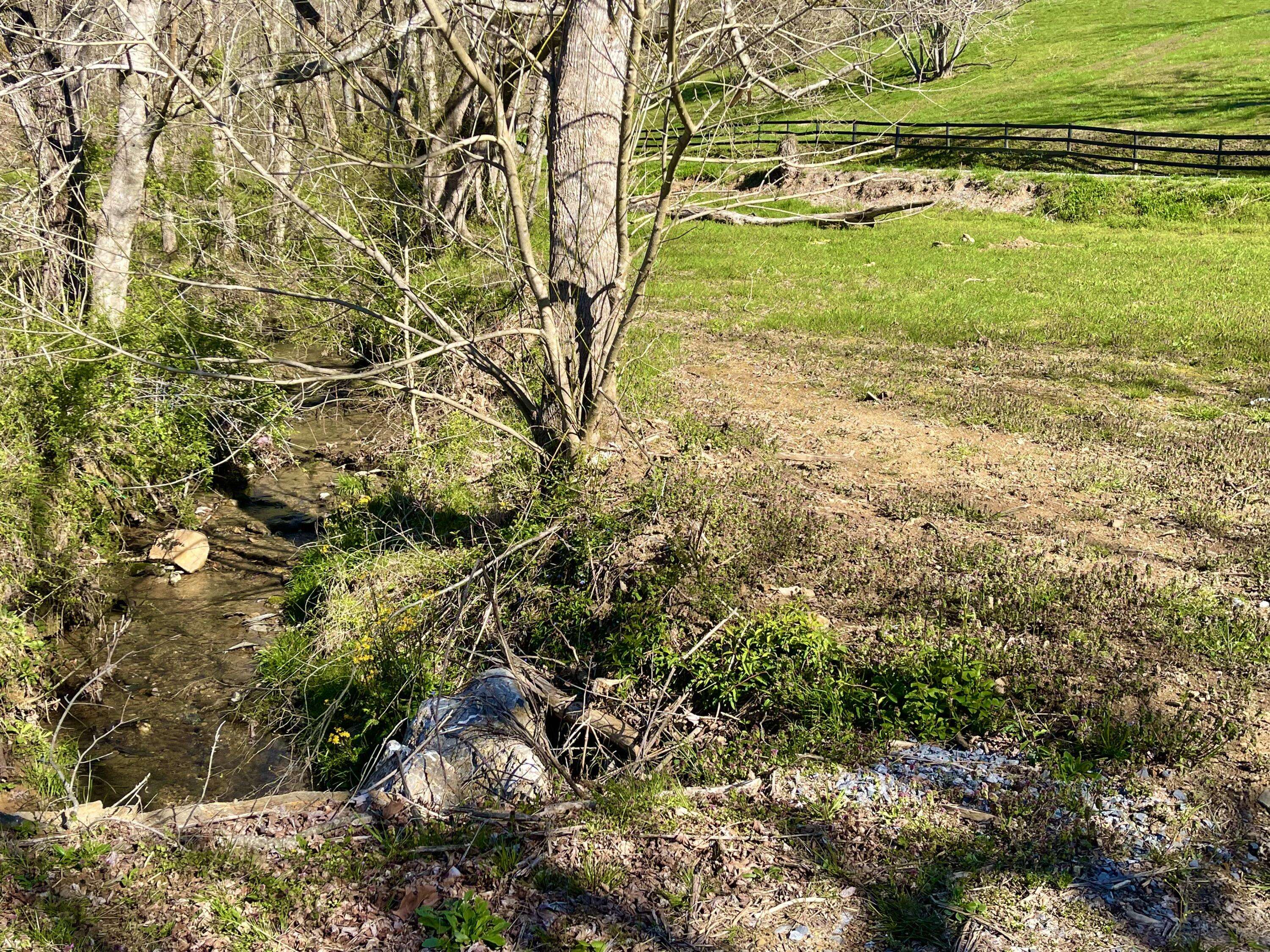 Cosby, TN 37722,Lot 3R-5 Pleasant Valley RD