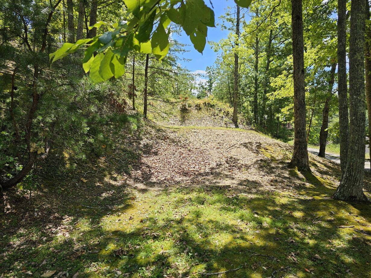 Sevierville, TN 37862,Lot 7-AR Village CIR