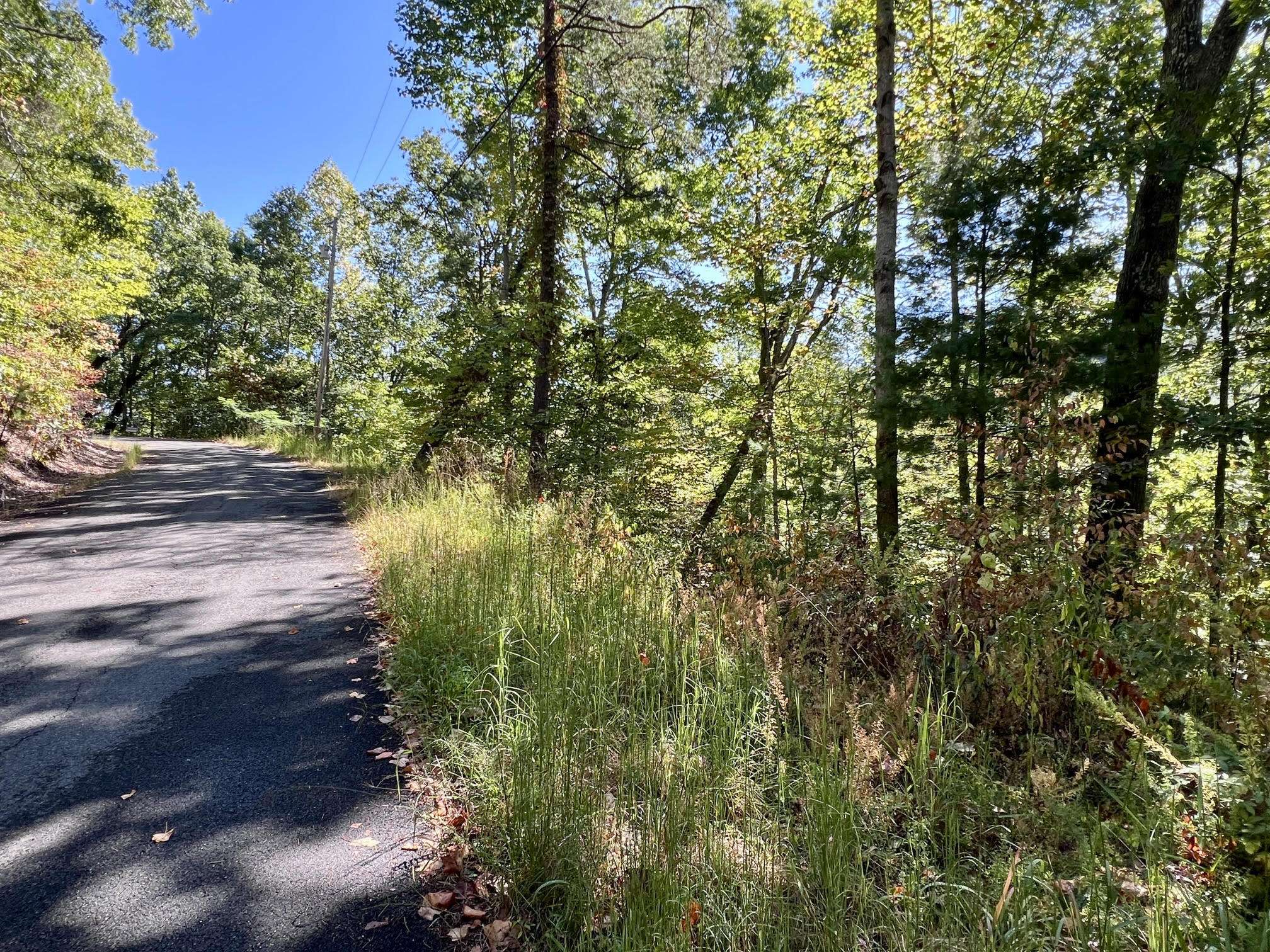 Sevierville, TN 37862,Lot 6 Sunset RD