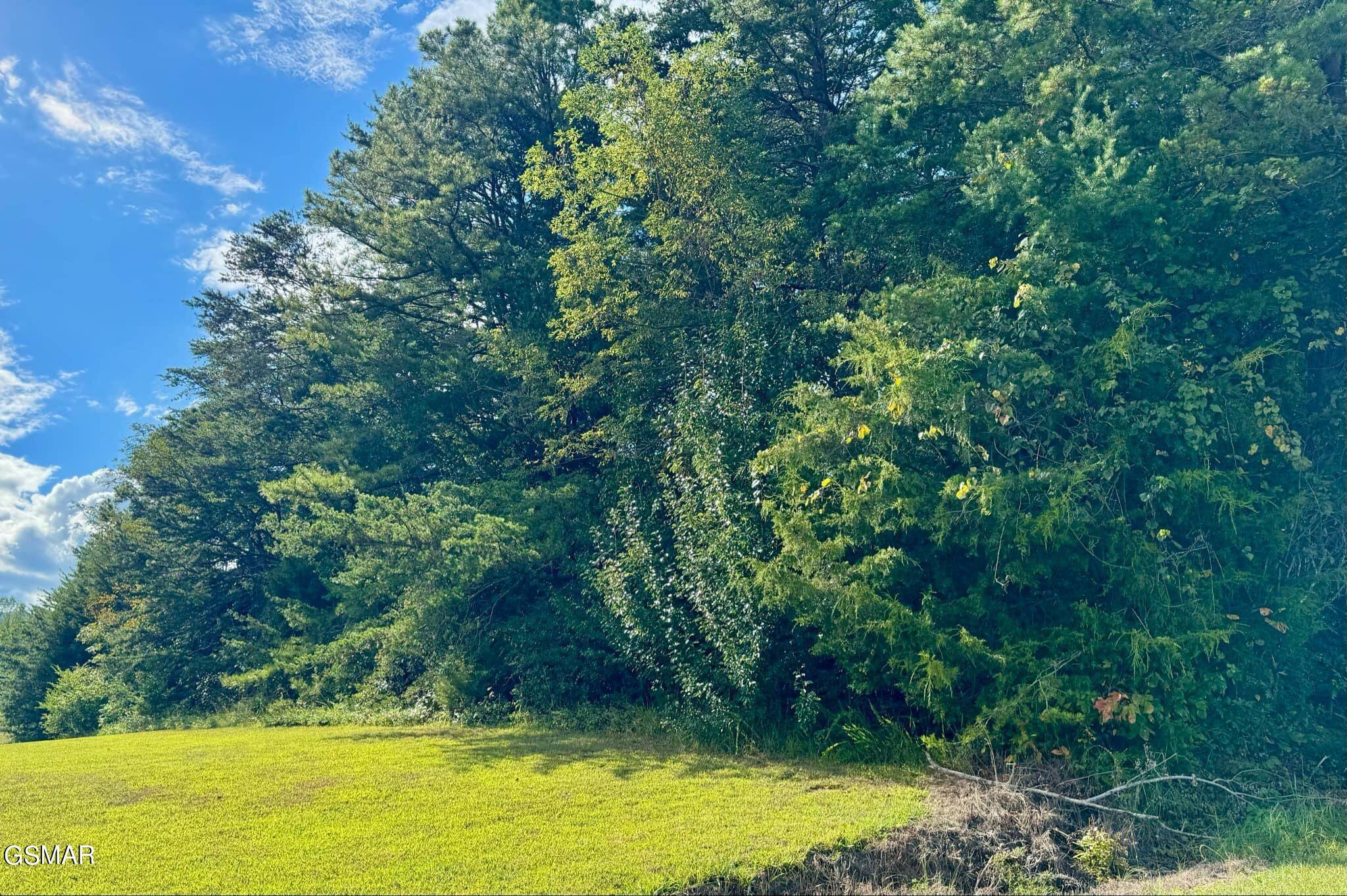 Newport, TN 37821,Lot 38 Al Hannon Rd