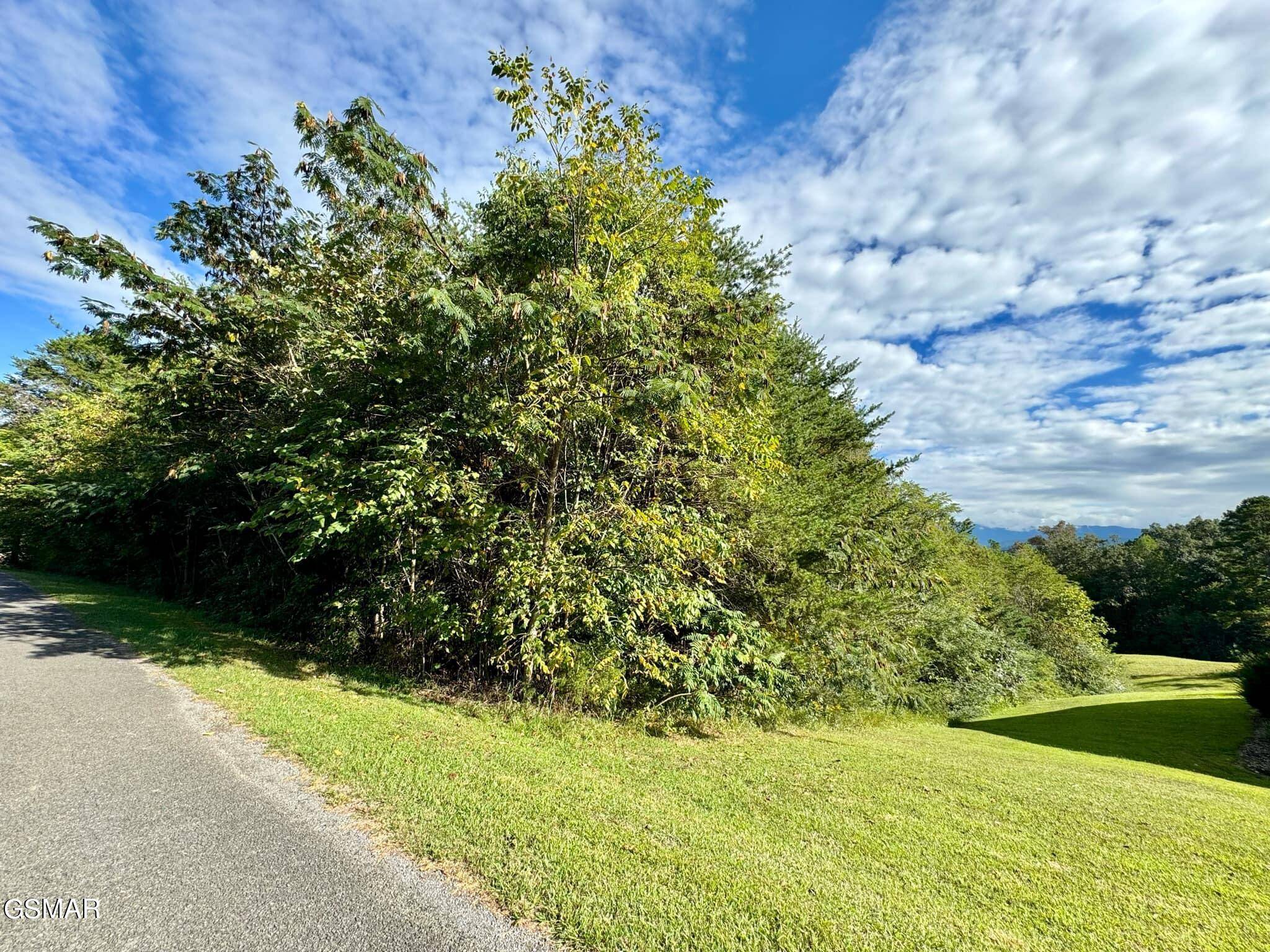 Newport, TN 37821,Lot 38 Al Hannon Rd