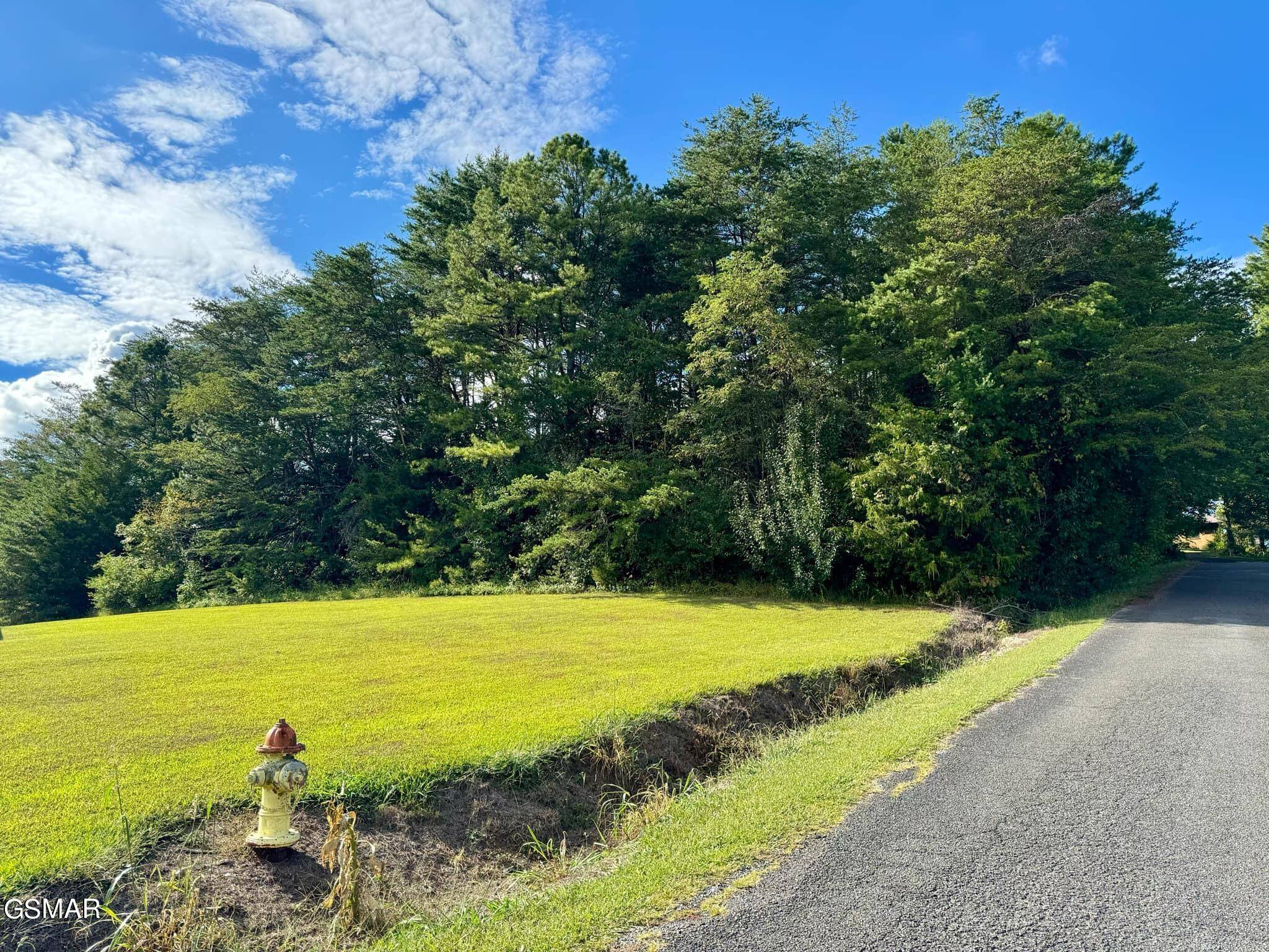 Newport, TN 37821,Lot 38 Al Hannon Rd