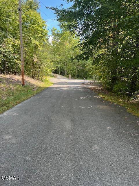 Cosby, TN 37722,Lot 8 Ardell WAY