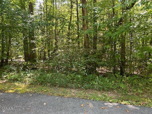 Cosby, TN 37722,Lot 8 Ardell WAY