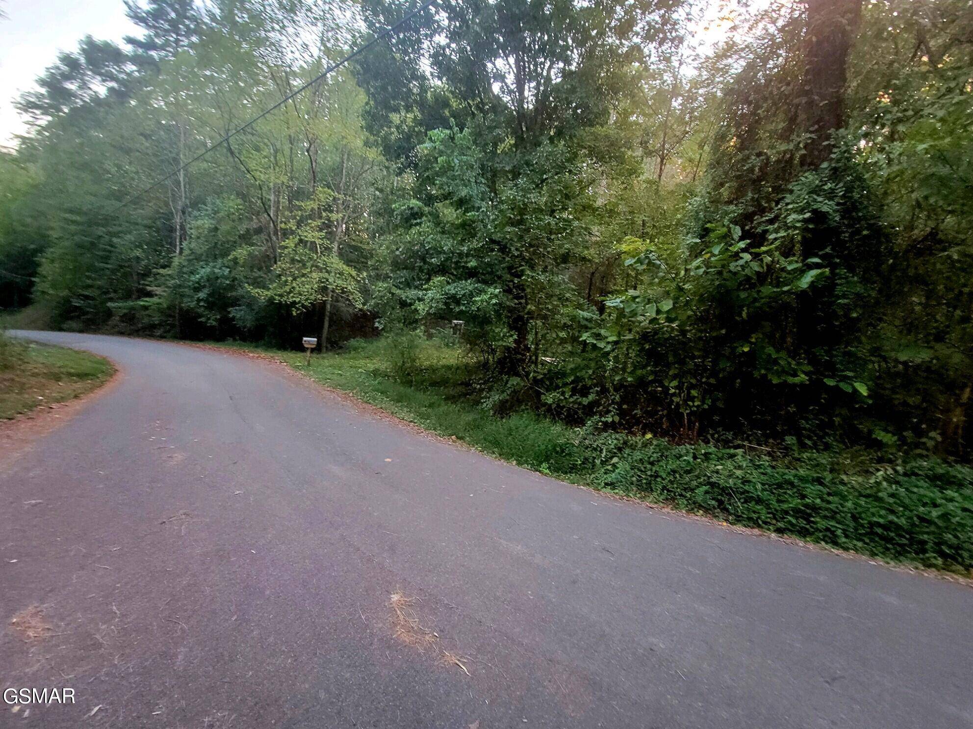 Sevierville, TN 37876,Lot 121 Sourwood Honey DR