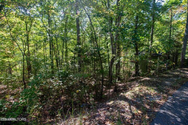 Sevierville, TN 37862,Lot 8 Hatcher Top Road