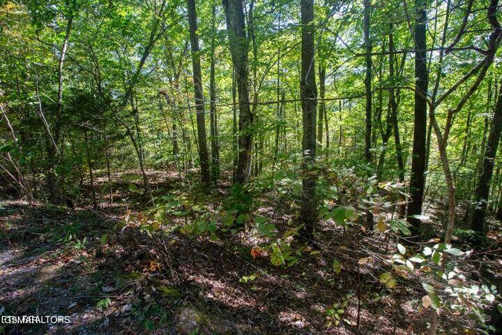 Sevierville, TN 37862,Lot 8 Hatcher Top Road