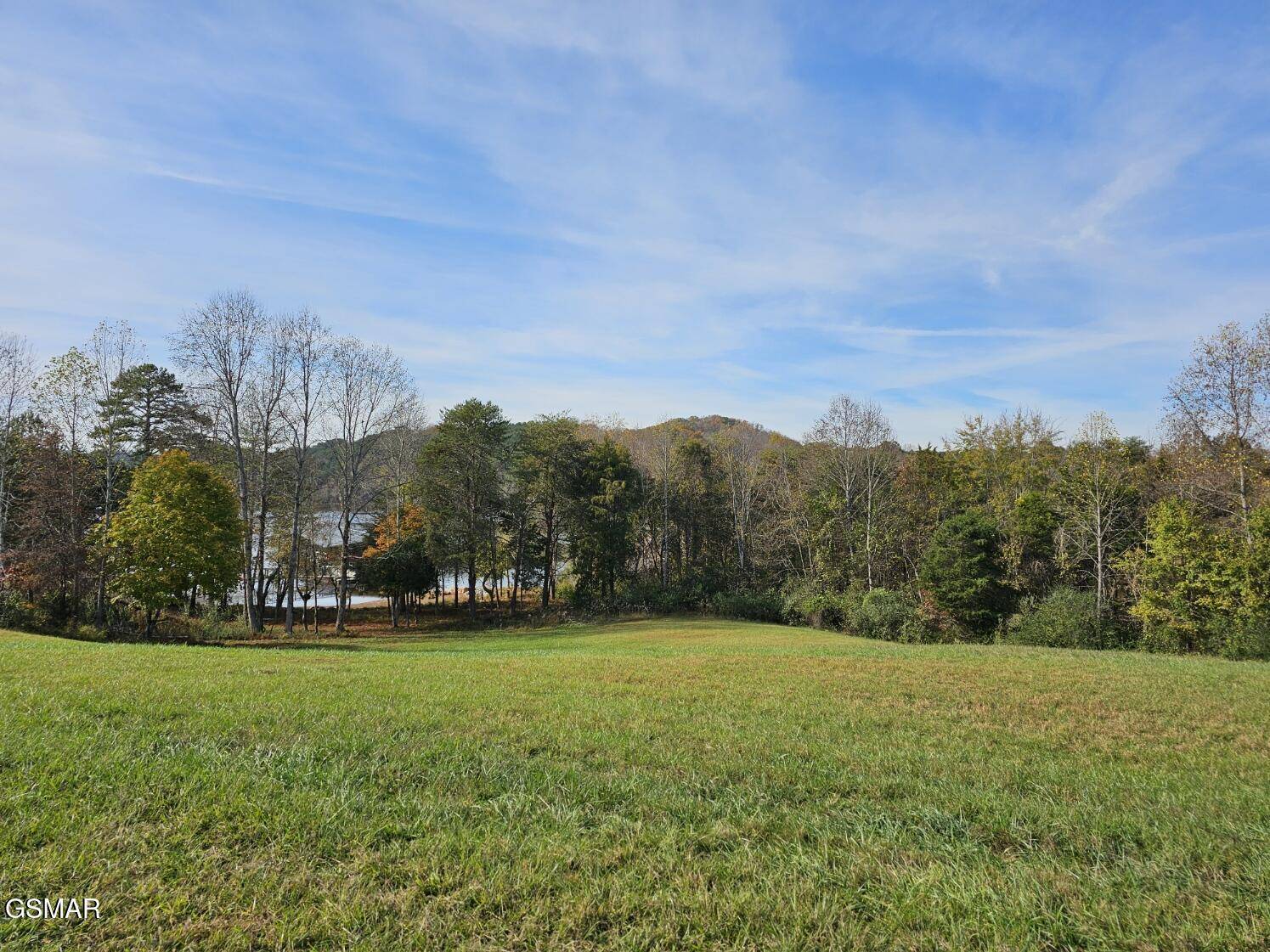 Vonore, TN 37885,261 White Swan DR