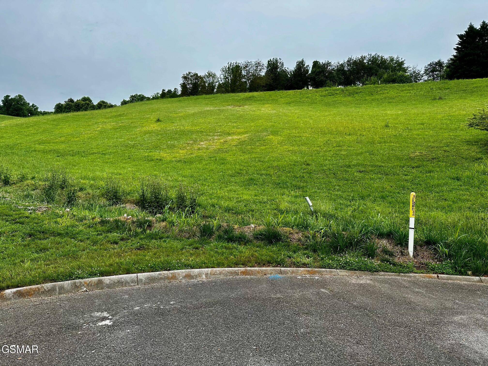 Kodak, TN 37764,3349 BENTWOOD DR