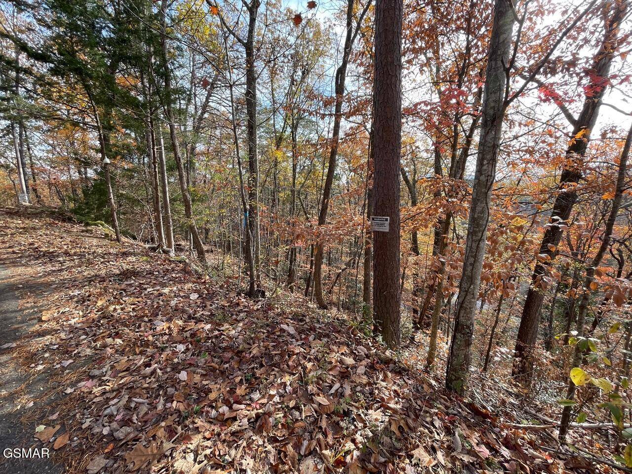 Pigeon Forge, TN 37863,Lot 34R Sugar Mtn Way