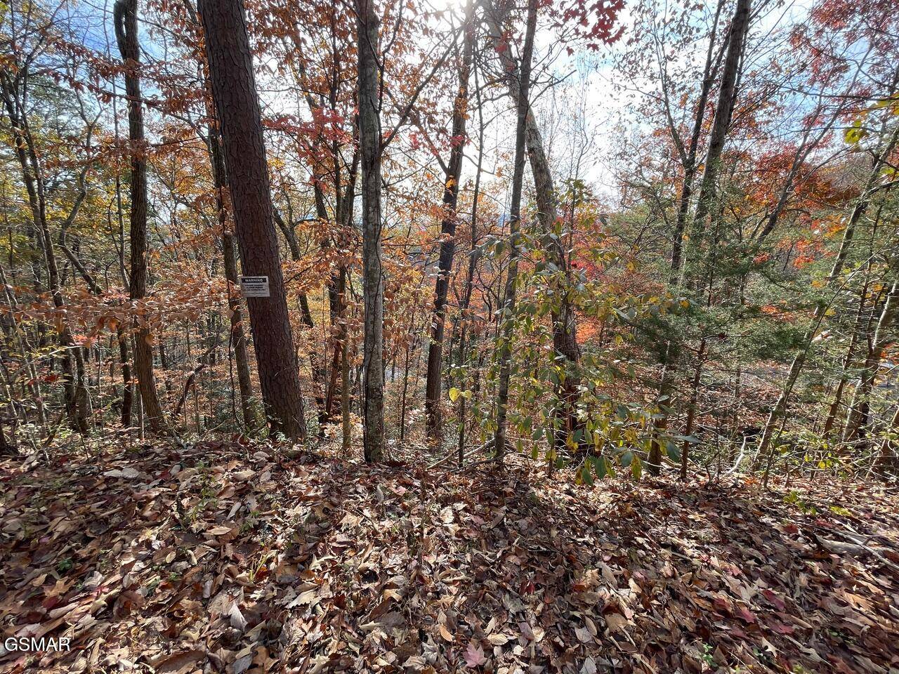 Pigeon Forge, TN 37863,Lot 34R Sugar Mtn Way