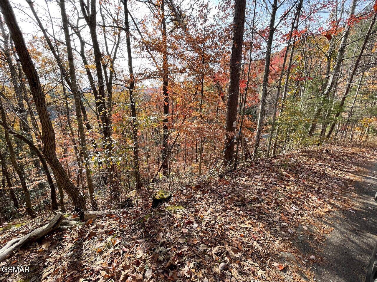 Pigeon Forge, TN 37863,Lot 34R Sugar Mtn Way