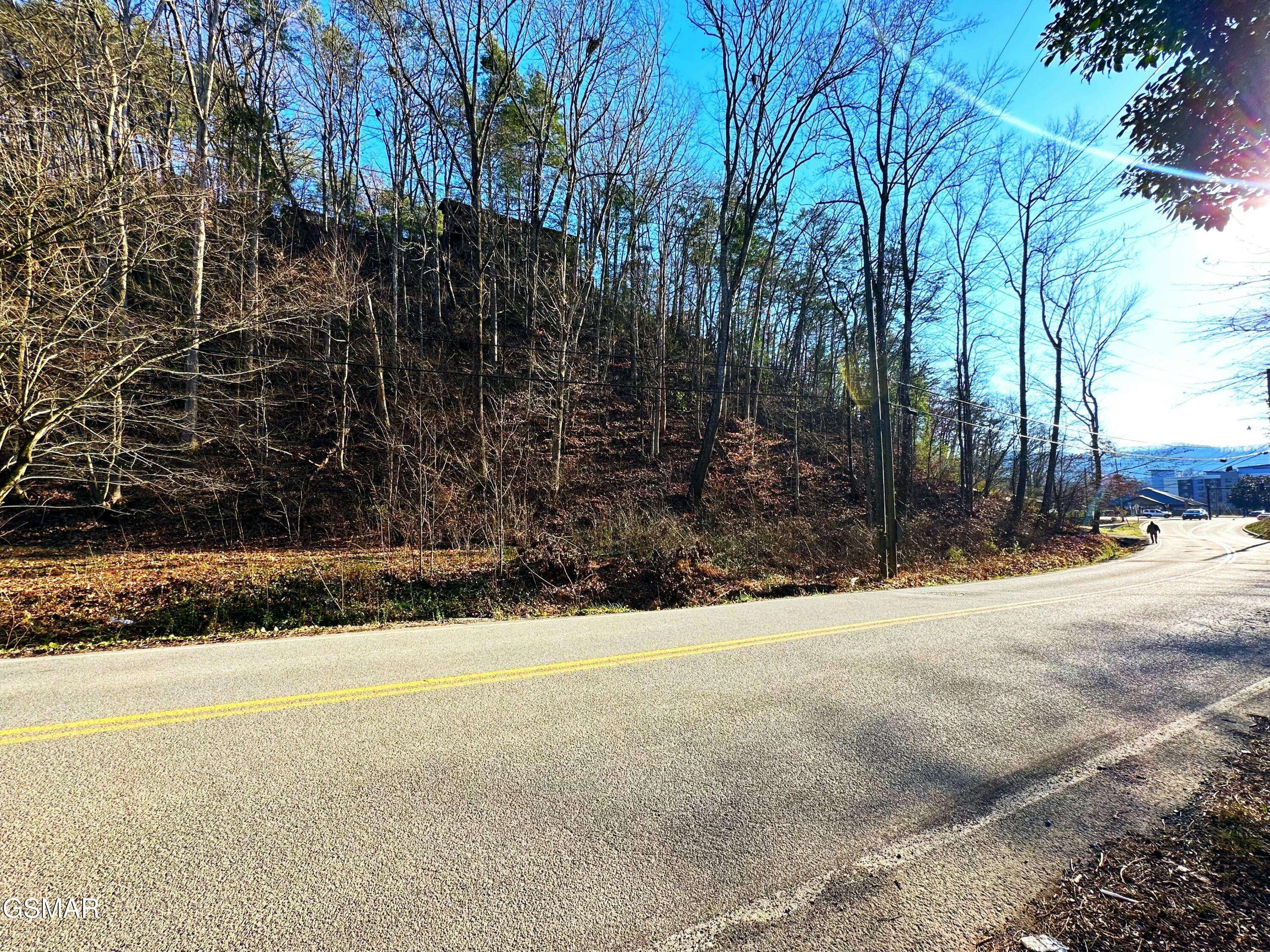 Pigeon Forge, TN 37863,0 Ridge RD