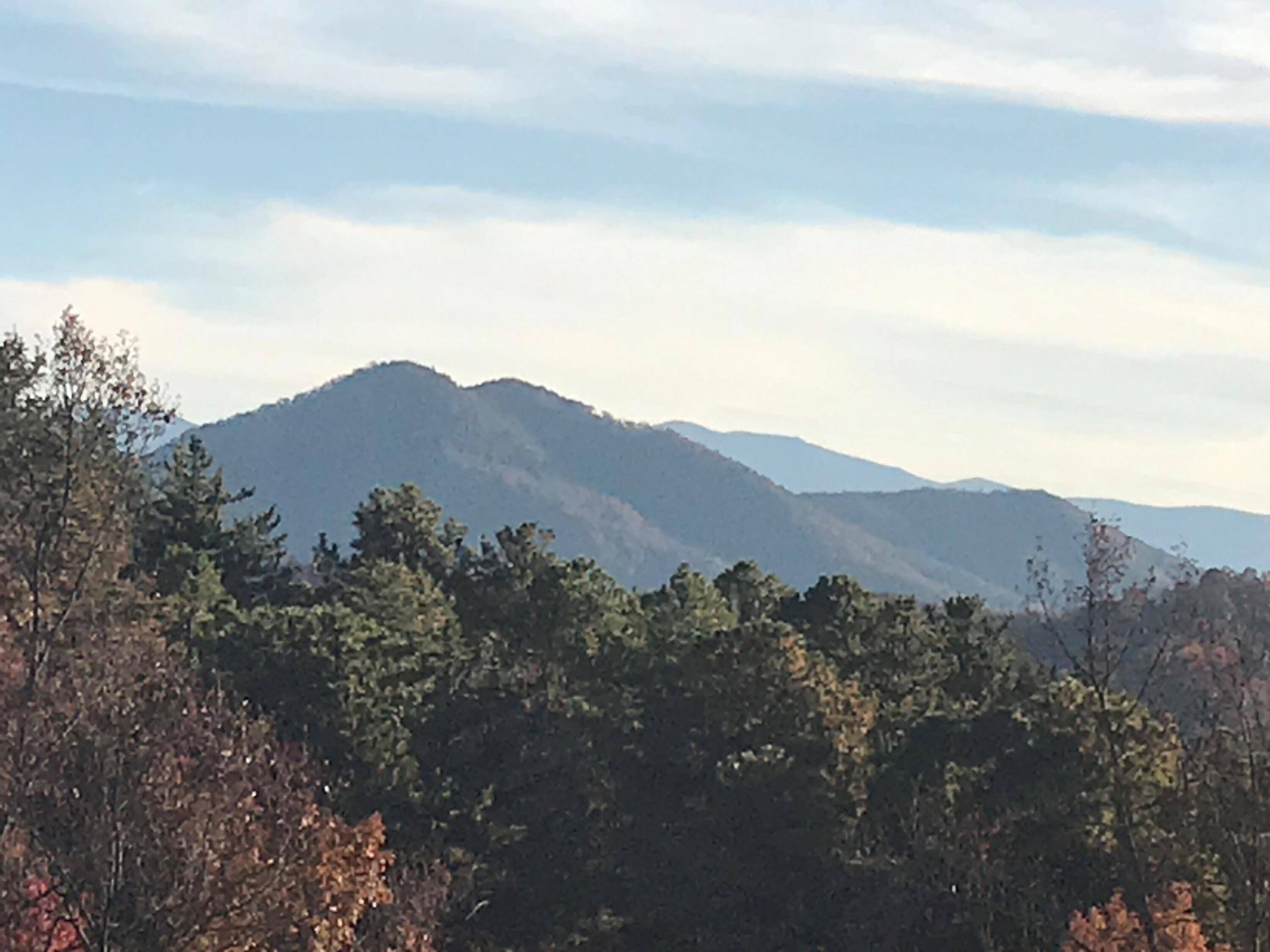 Sevierville, TN 37862,2729 Hatcher Mountain RD