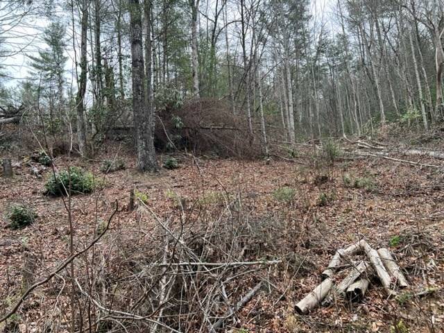 Sevierville, TN 37876,Lot 3D Coy Rhea WAY