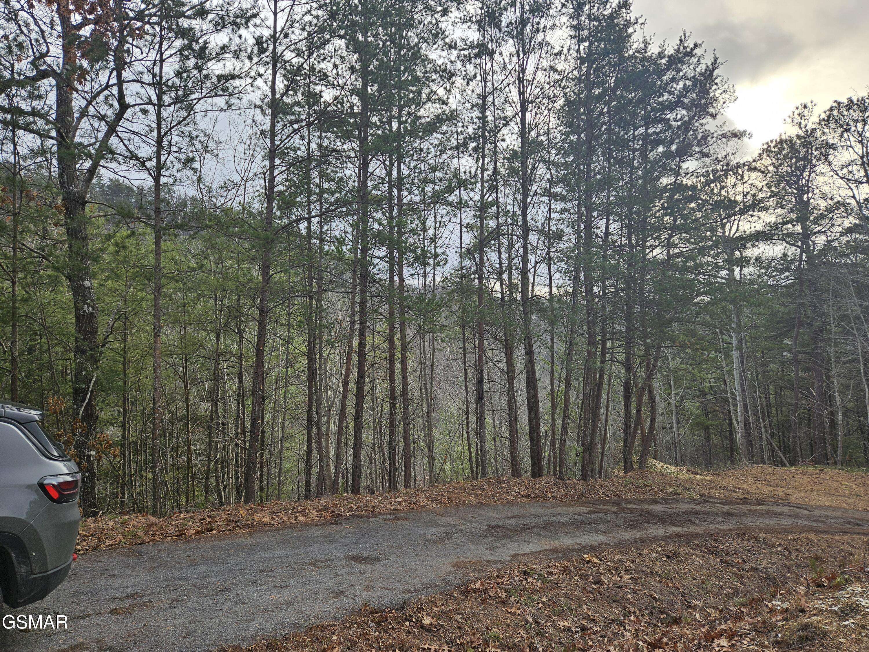 Sevierville, TN 37862,0 S Clear Fork RD