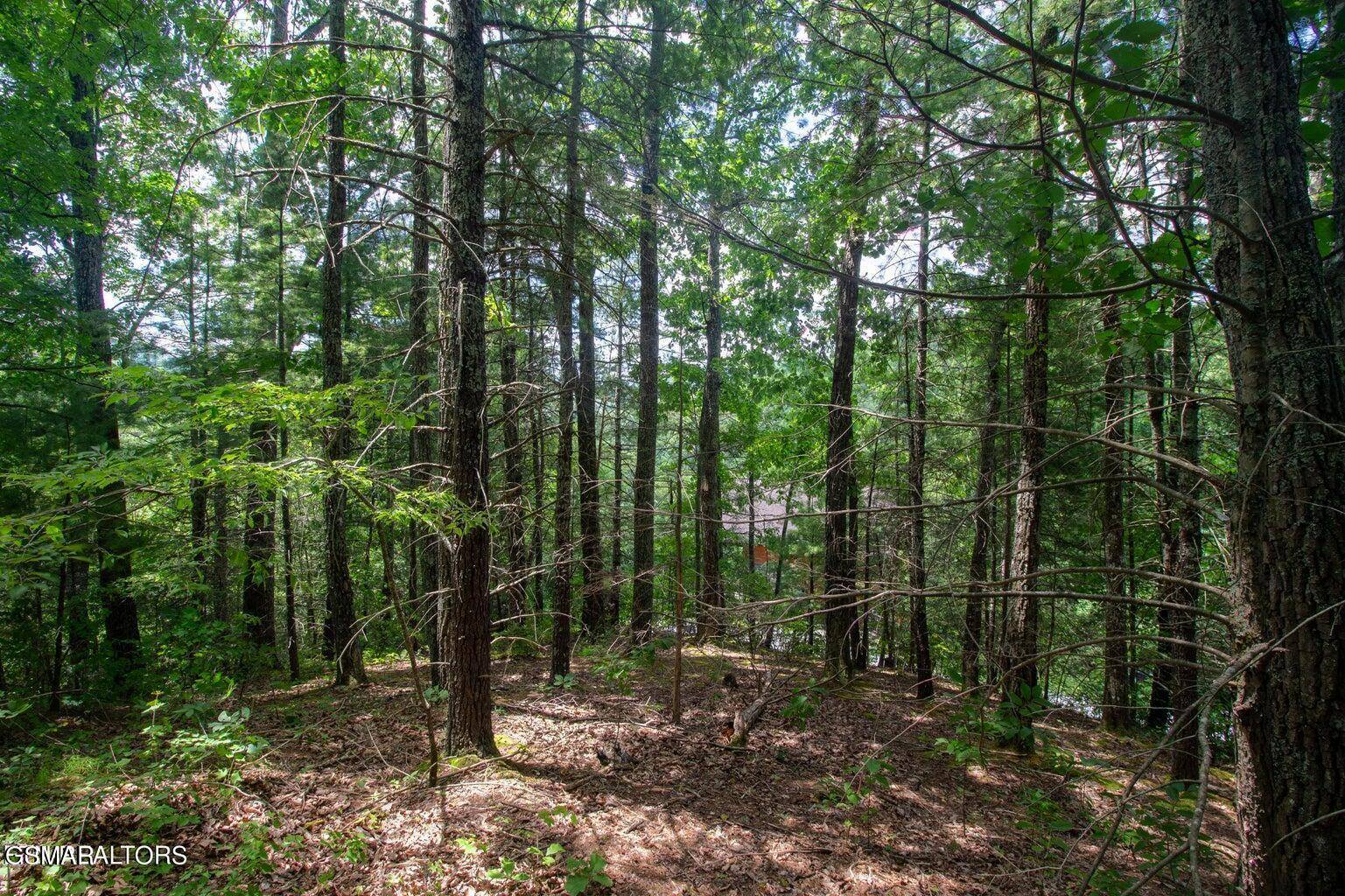 Sevierville, TN 37862,Lot 0013 High Top Loop