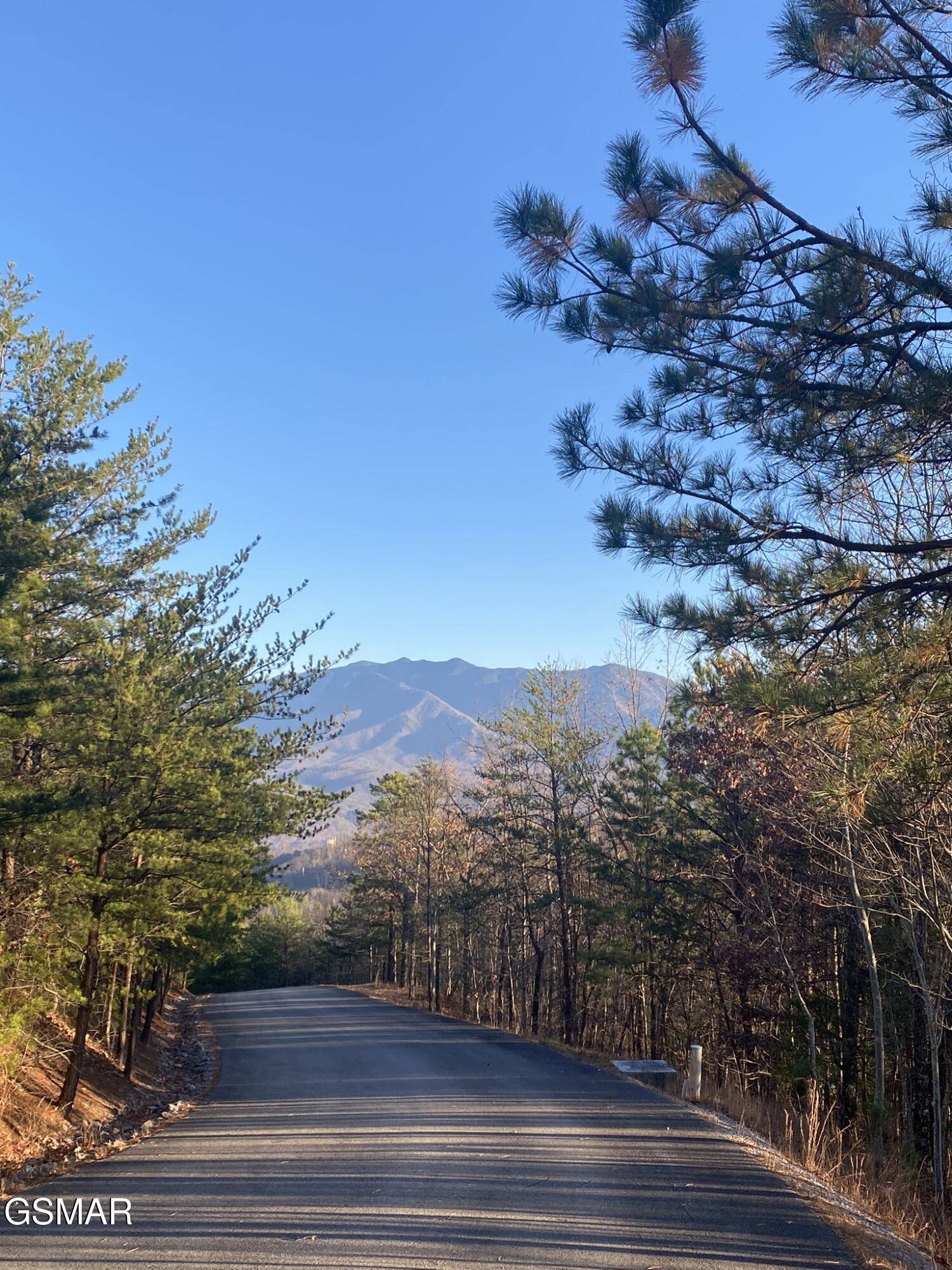 Gatlinburg, TN 37738,D-7 Lightning Bug WAY