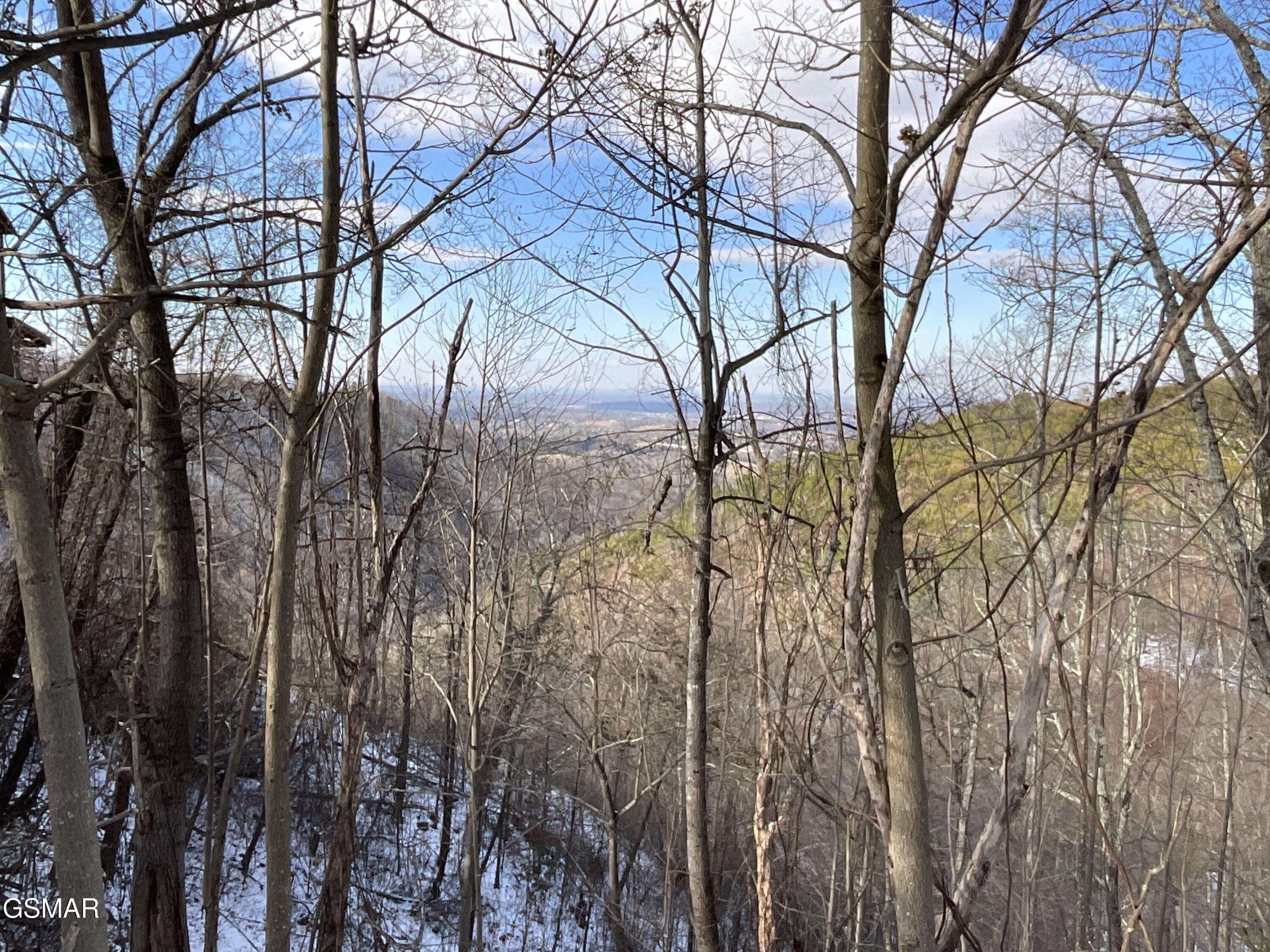 Sevierville, TN 37876,Lot 134 Billard WAY