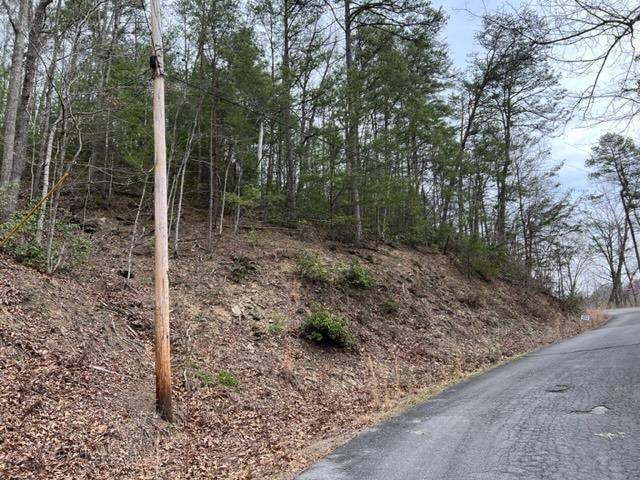 Sevierville, TN 37862,Lot 16 Sunset RD