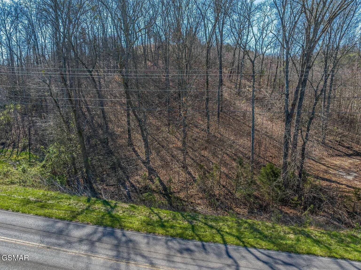 White Pine, TN 37890,0.93 Acre Nina Rd