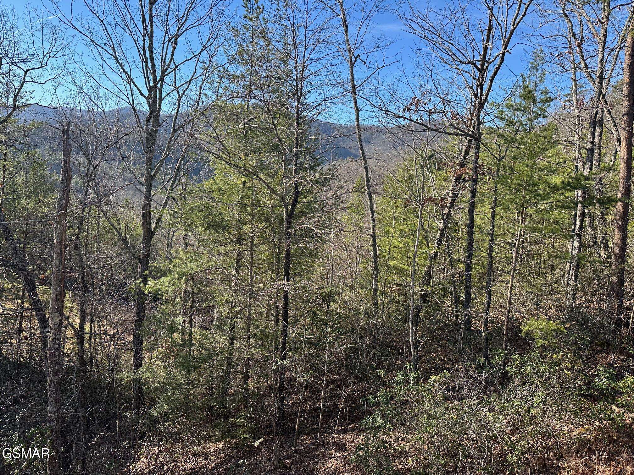 Sevierville, TN 37862,1306 Morning Dove WAY