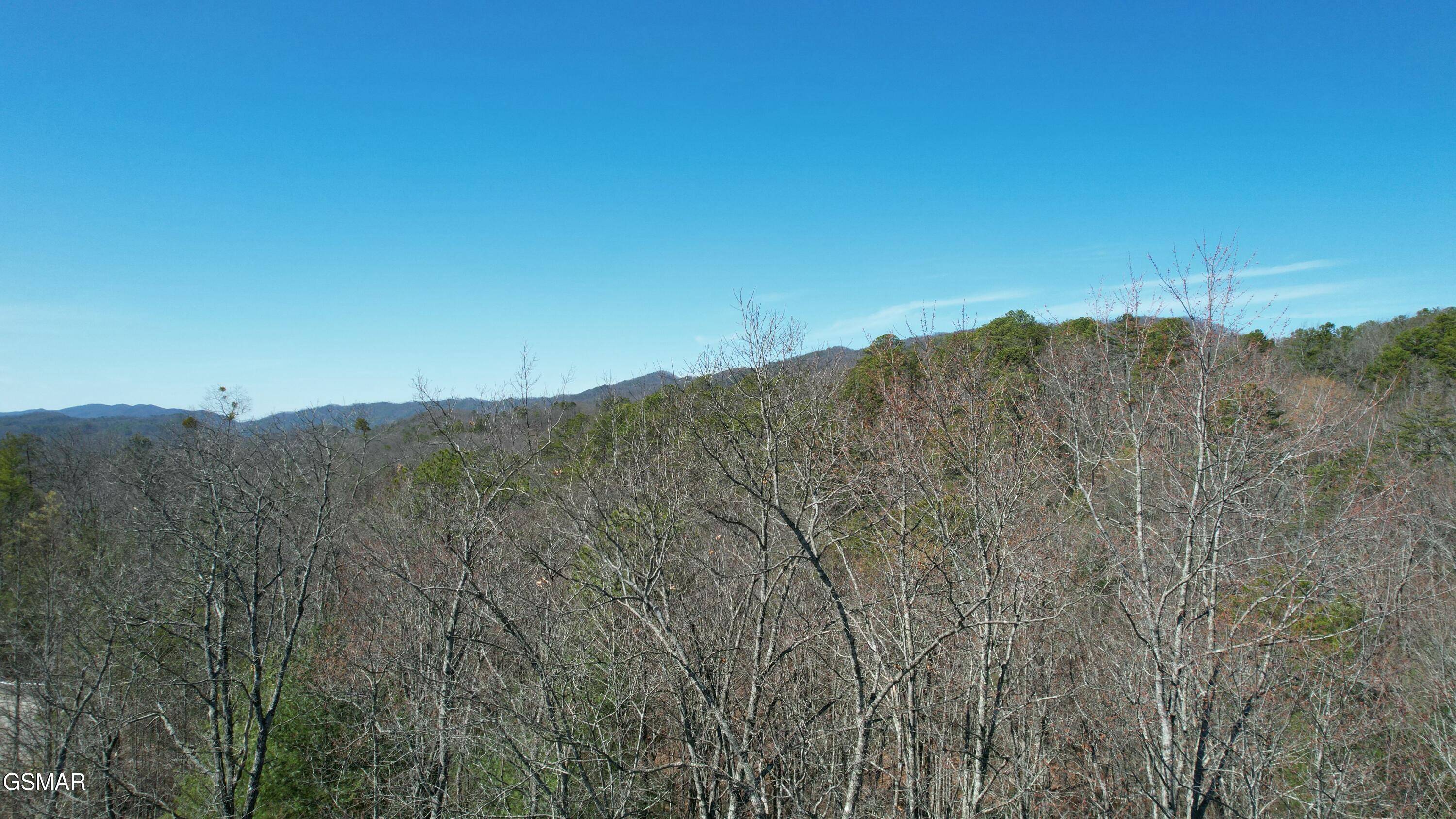 Walland, TN 37886,442 Hawken DR