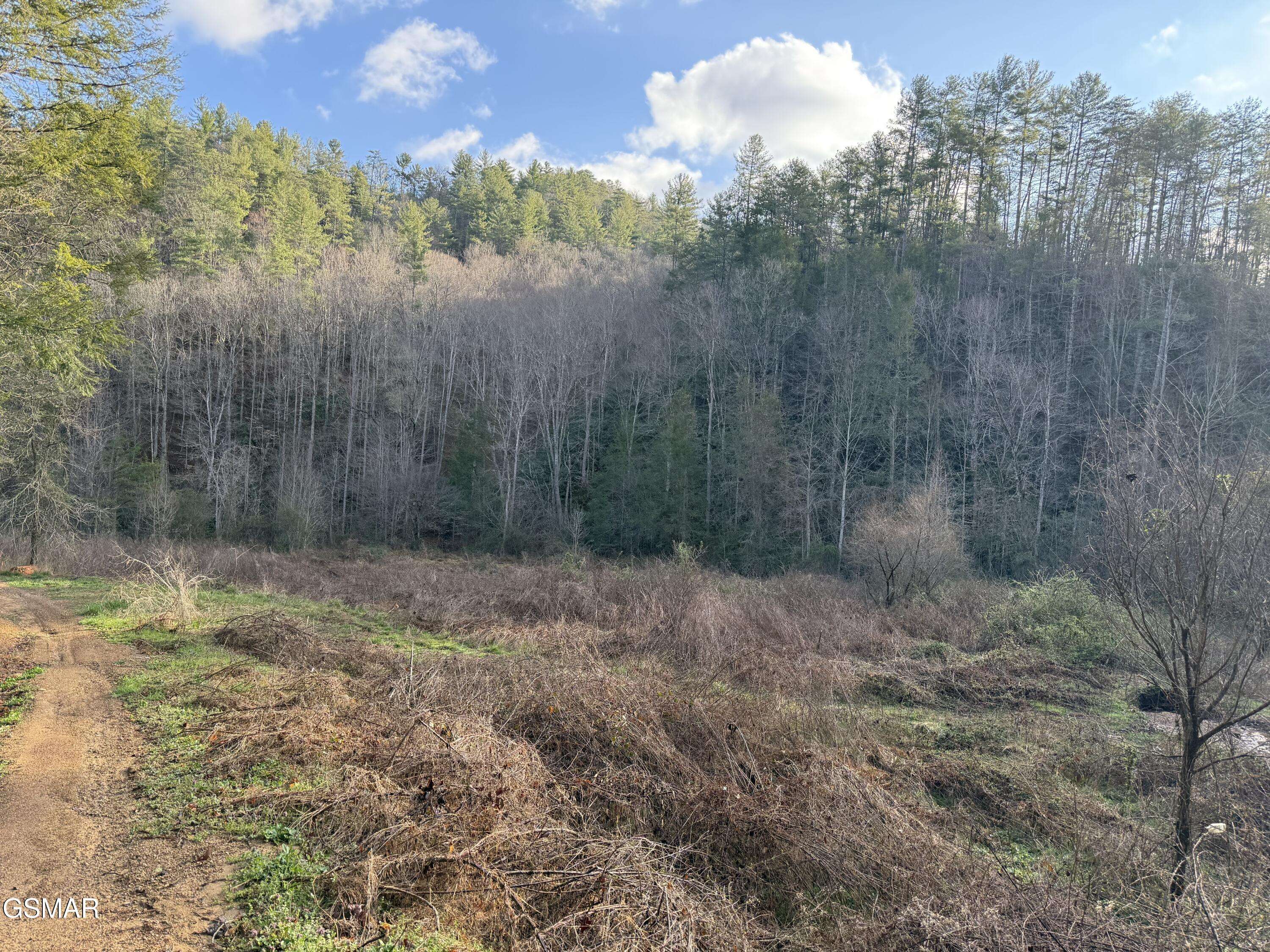 Del Rio, TN 37727,0 Rocky Creek Rd RD