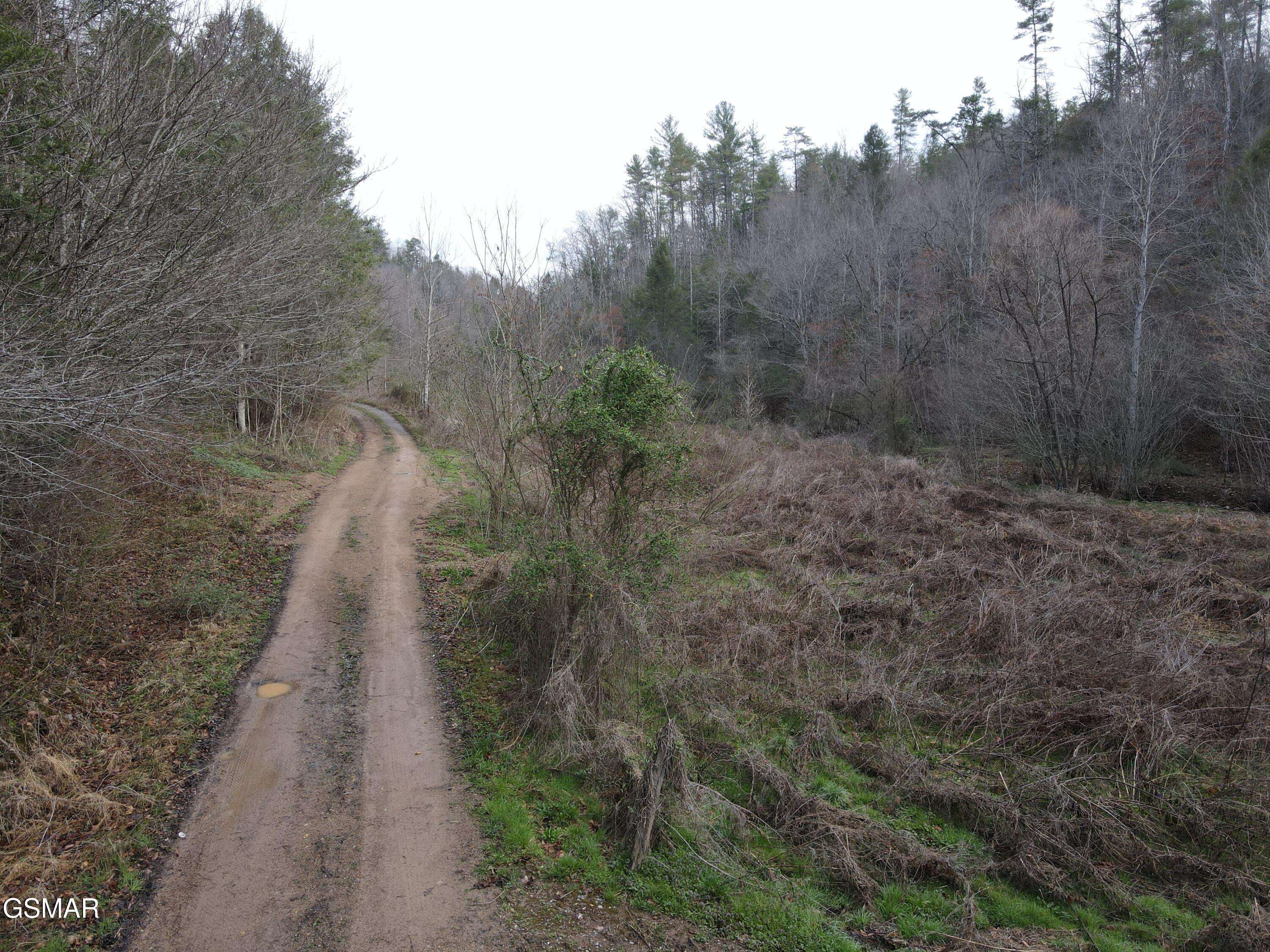Del Rio, TN 37727,0 Rocky Creek Rd RD