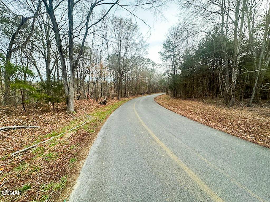 Baneberry, TN 37890,Lot 1102 Mountain View LN