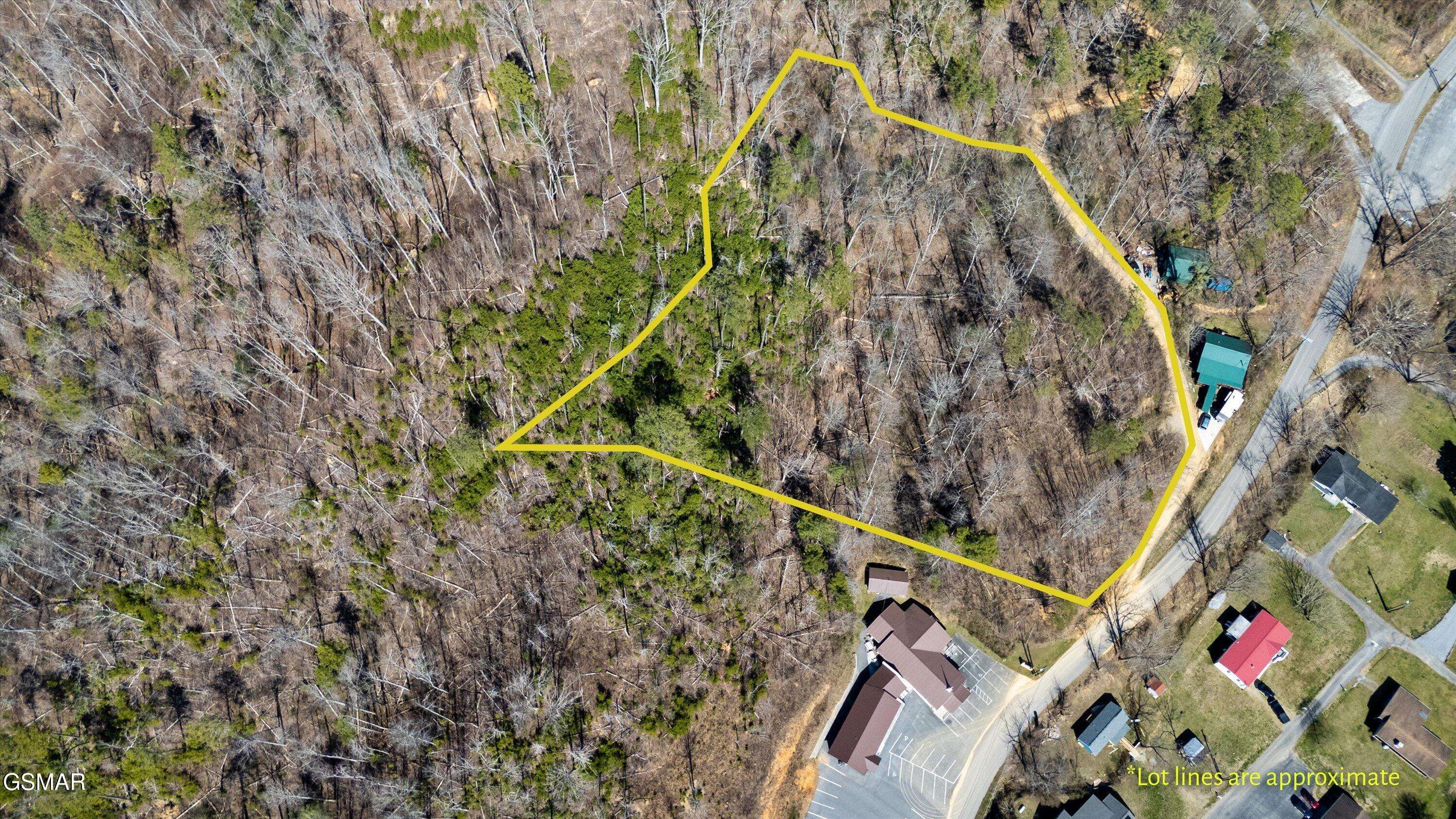 Gatlinburg, TN 37738,1205 Maples Manor WAY