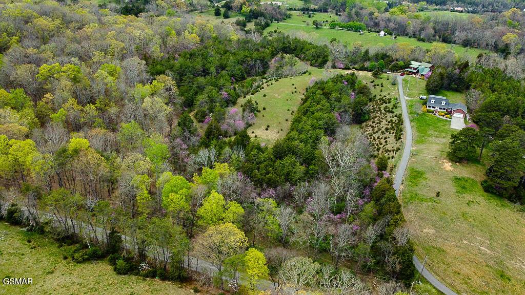 Dandridge, TN 37725,5 Acre Tr. Cedar School RD