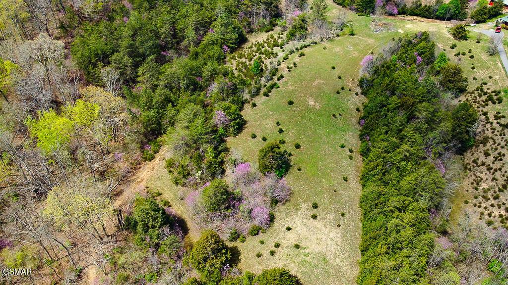Dandridge, TN 37725,5 Acre Tr. Cedar School RD