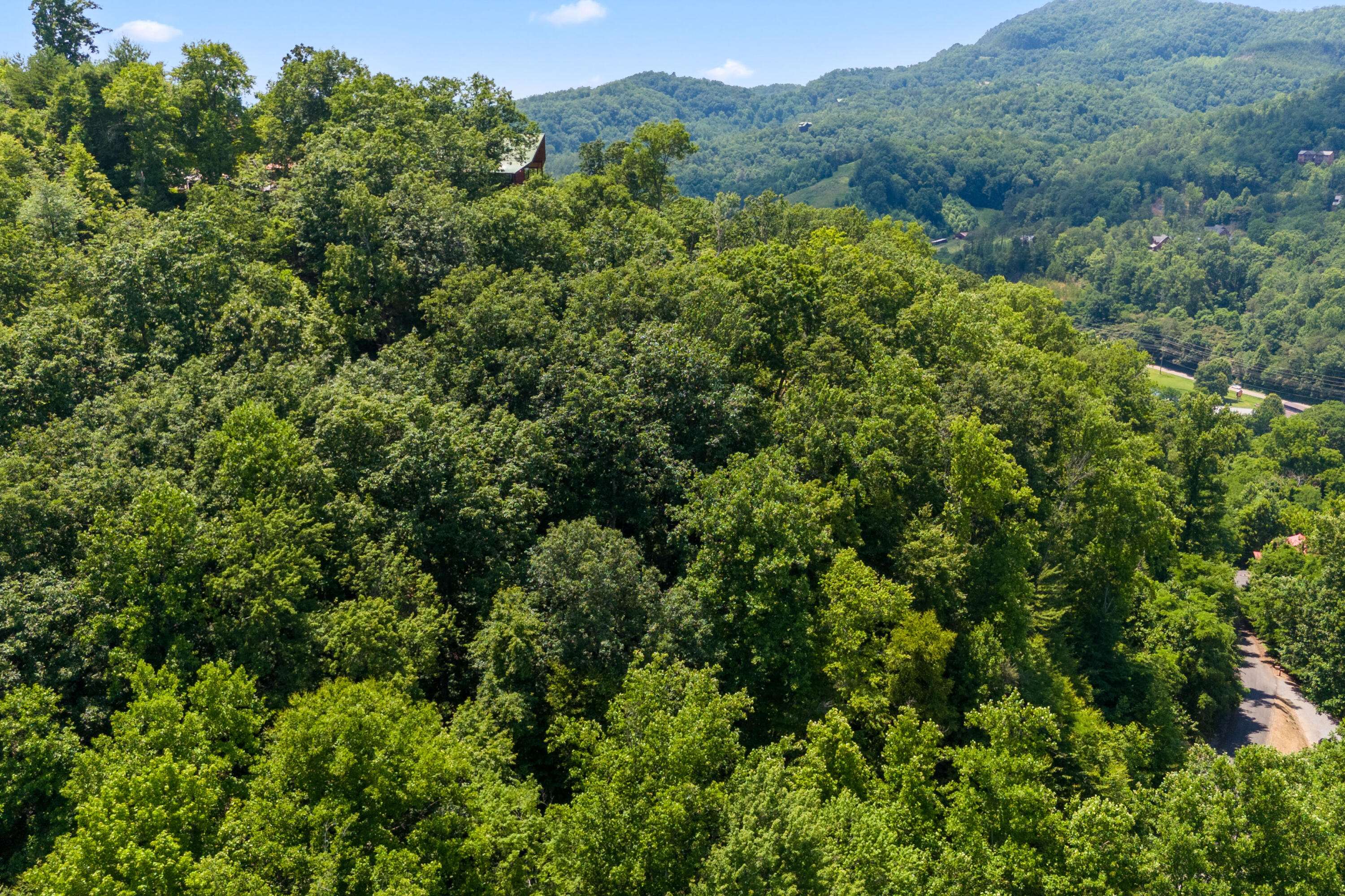 Sevierville, TN 37862,Lot 23 Red Wolfe RD