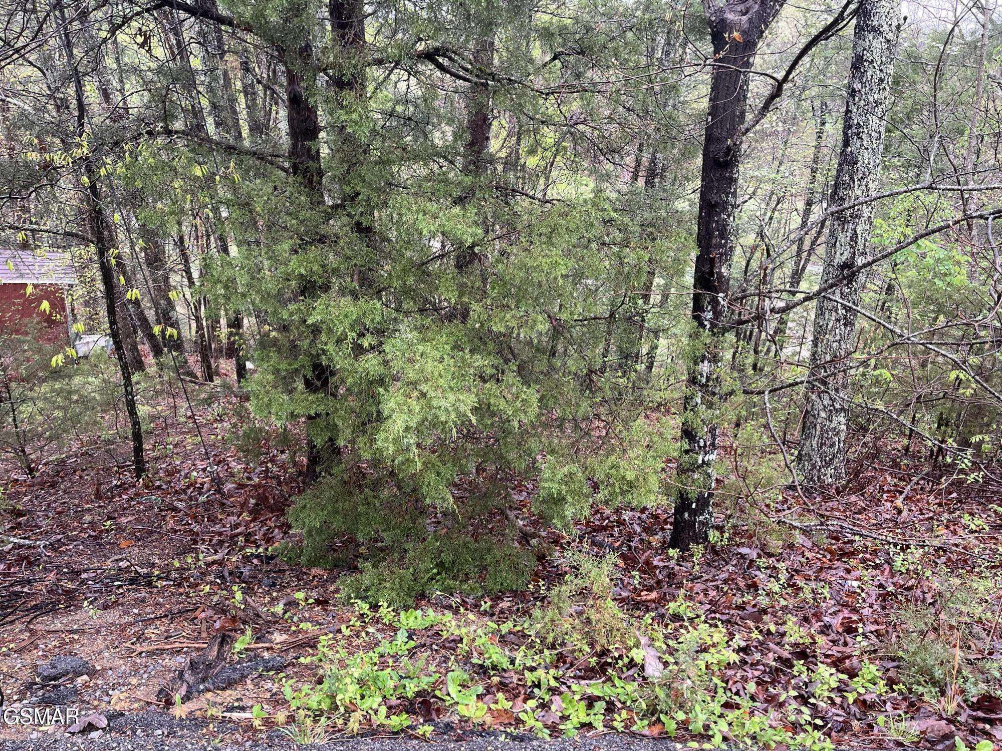 Pigeon Forge, TN 37863,Lot 1 Mountain View LN